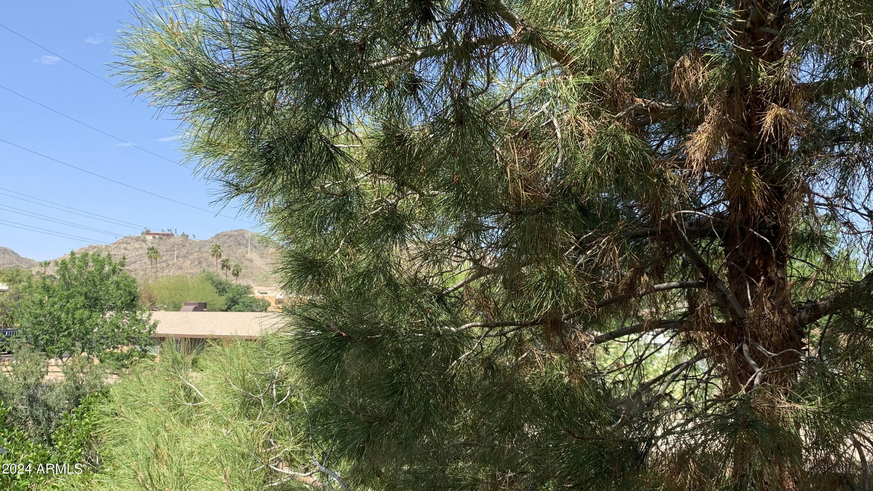 10410 N CAVE CREEK Road, 2100