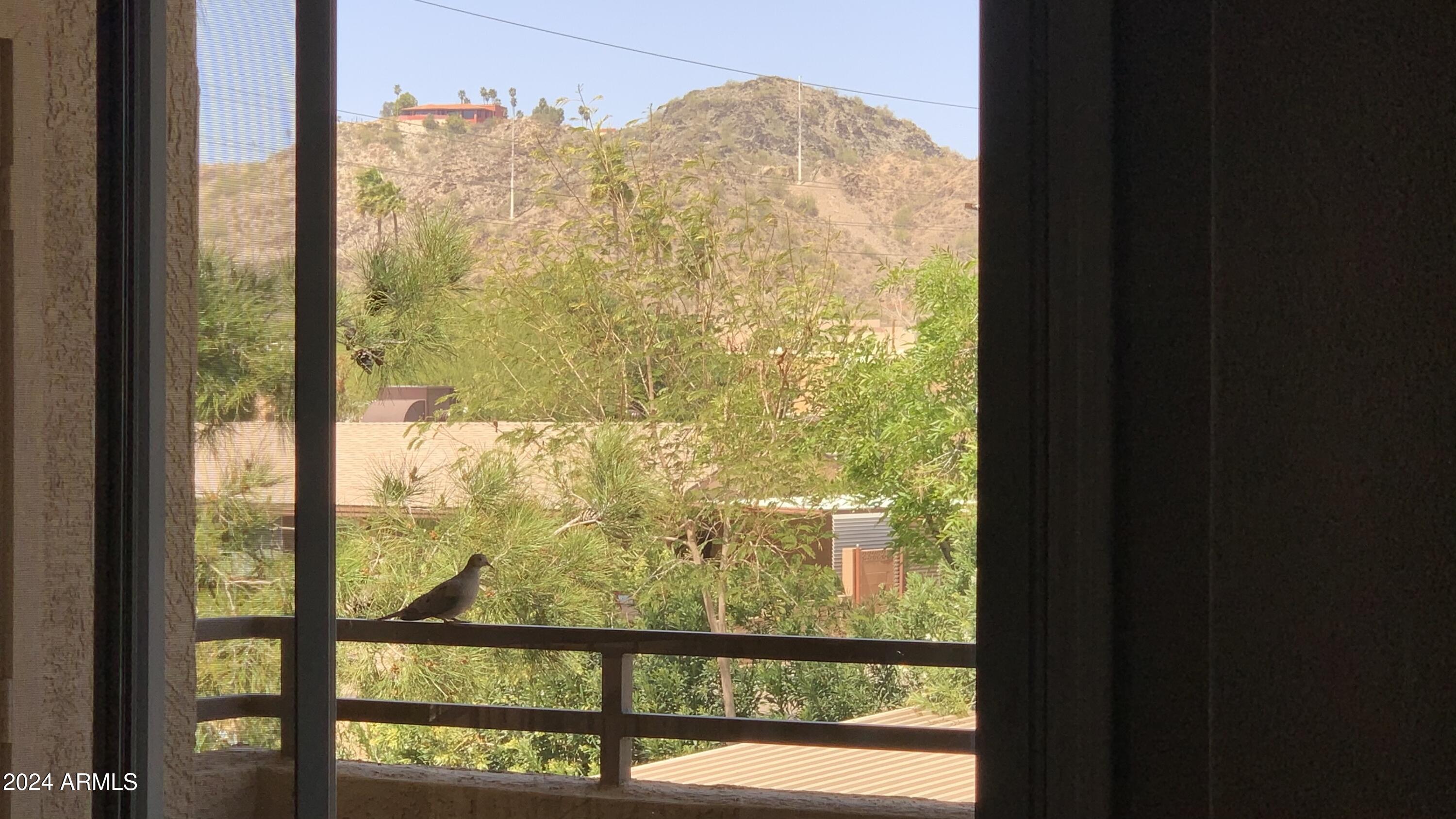 10410 N CAVE CREEK Road, 2100