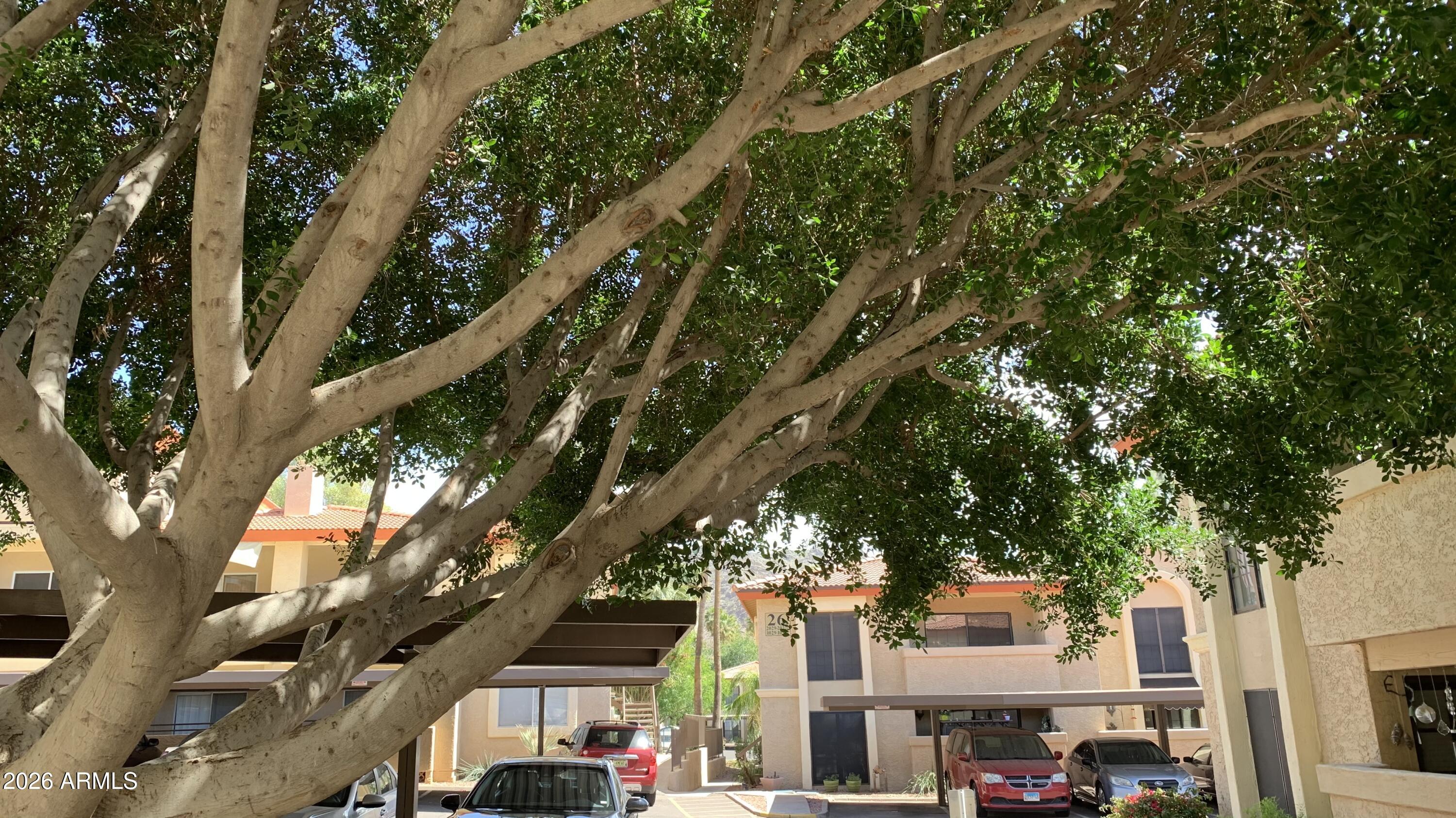 10410 N CAVE CREEK Road 2100