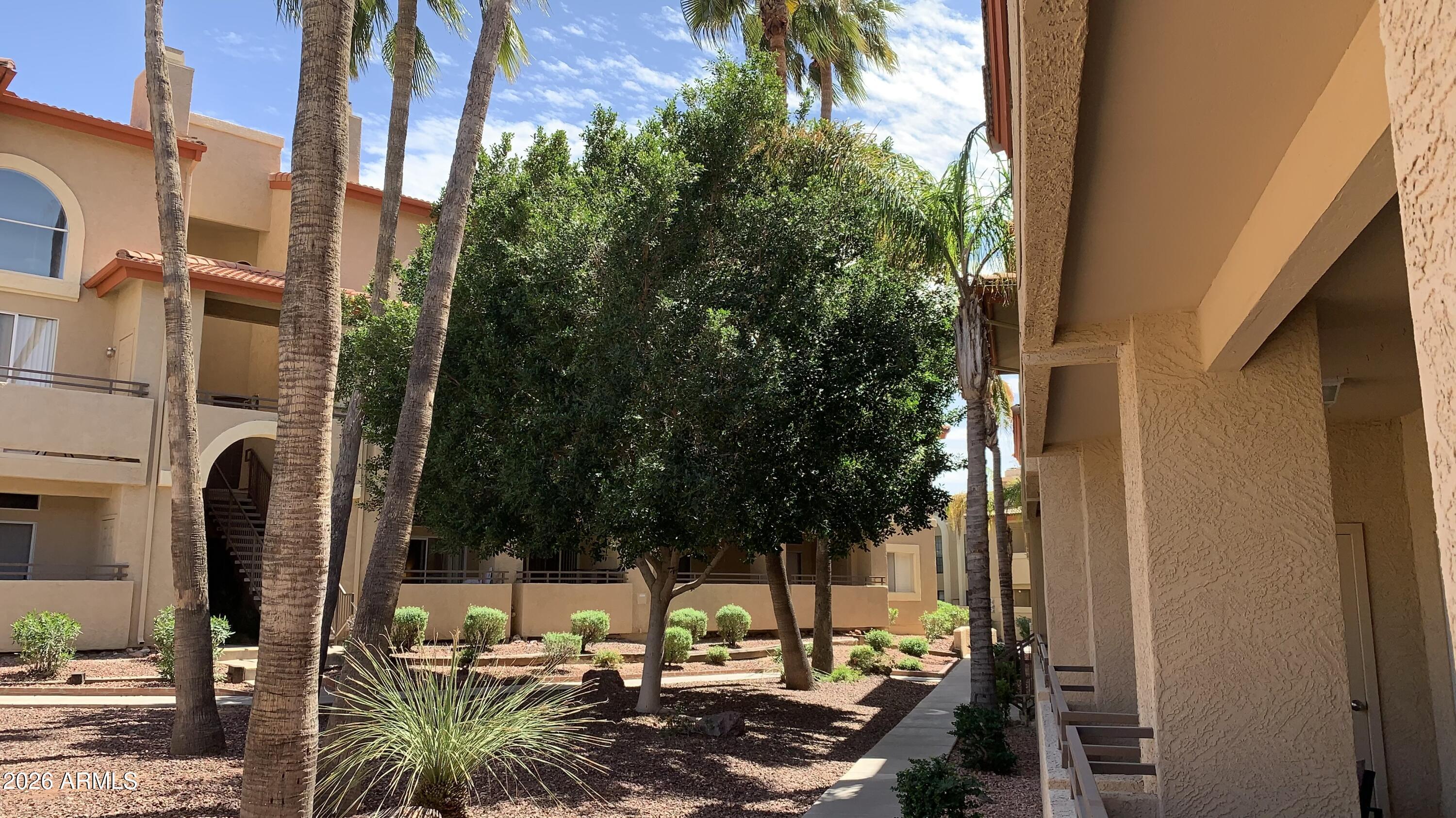 10410 N CAVE CREEK Road 2100