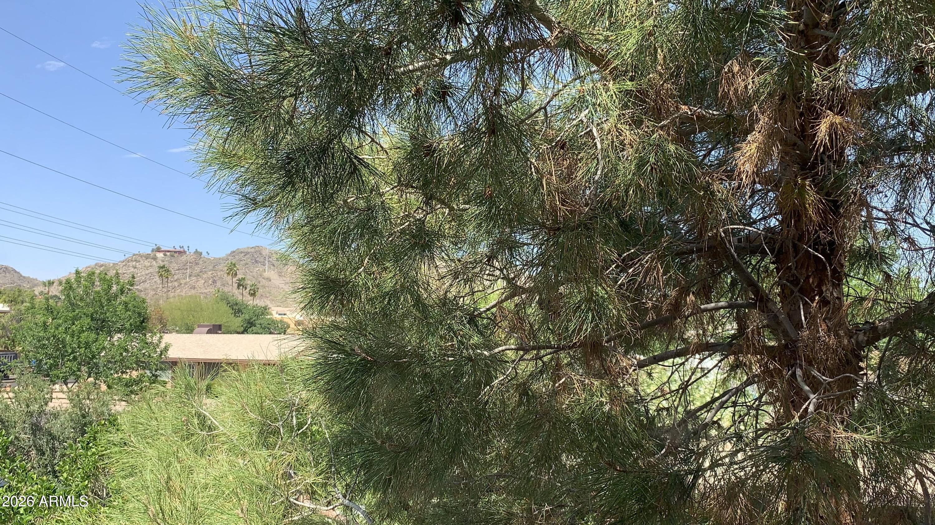 10410 N CAVE CREEK Road 2100