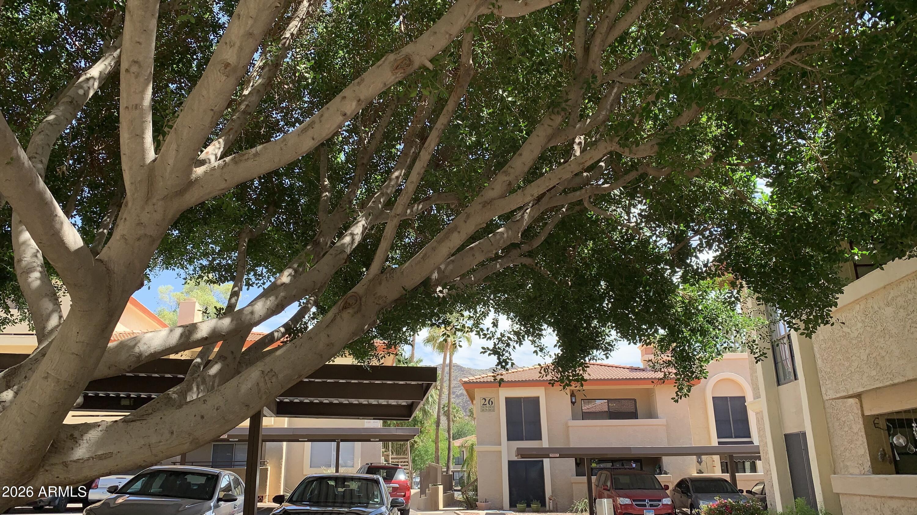 10410 N CAVE CREEK Road 2100