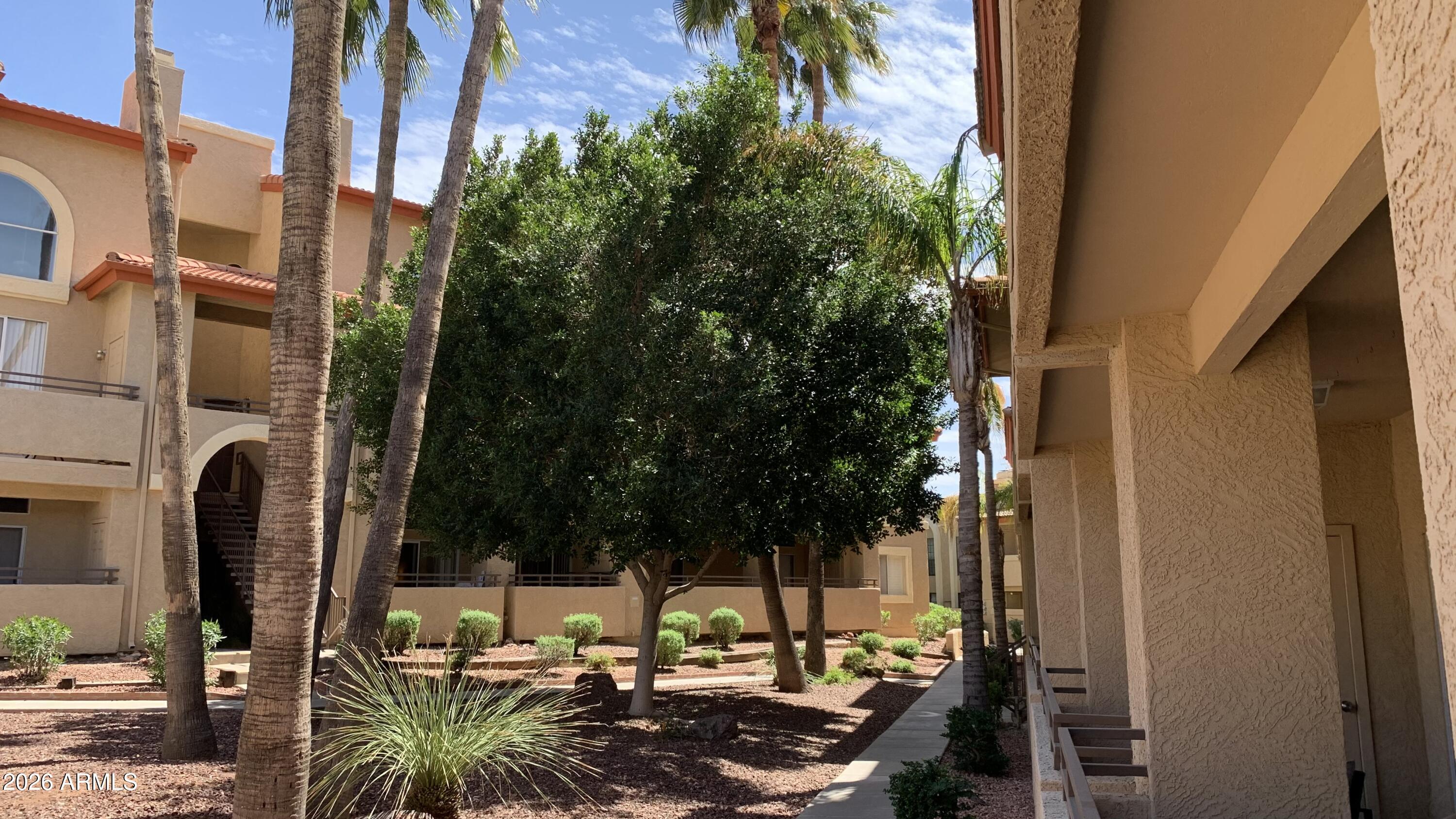 10410 N CAVE CREEK Road 2100