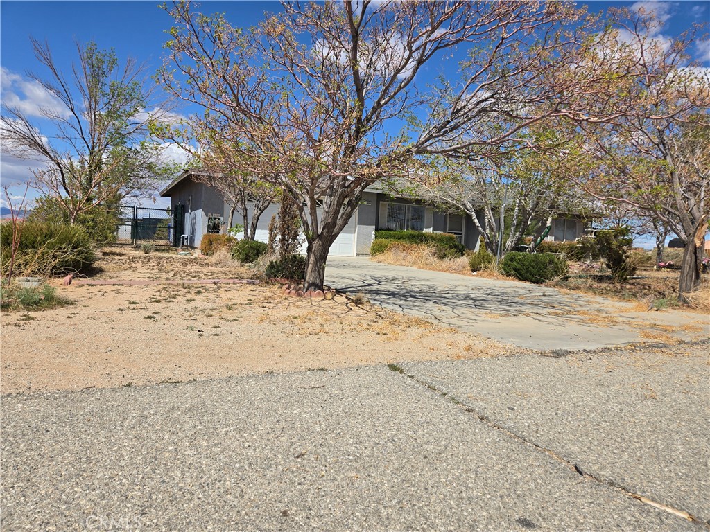 10449 Peach Avenue