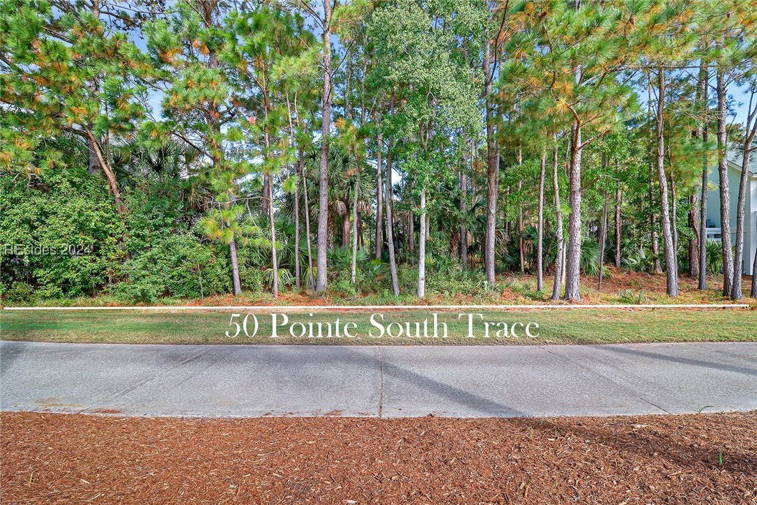 50 Pointe South Trace