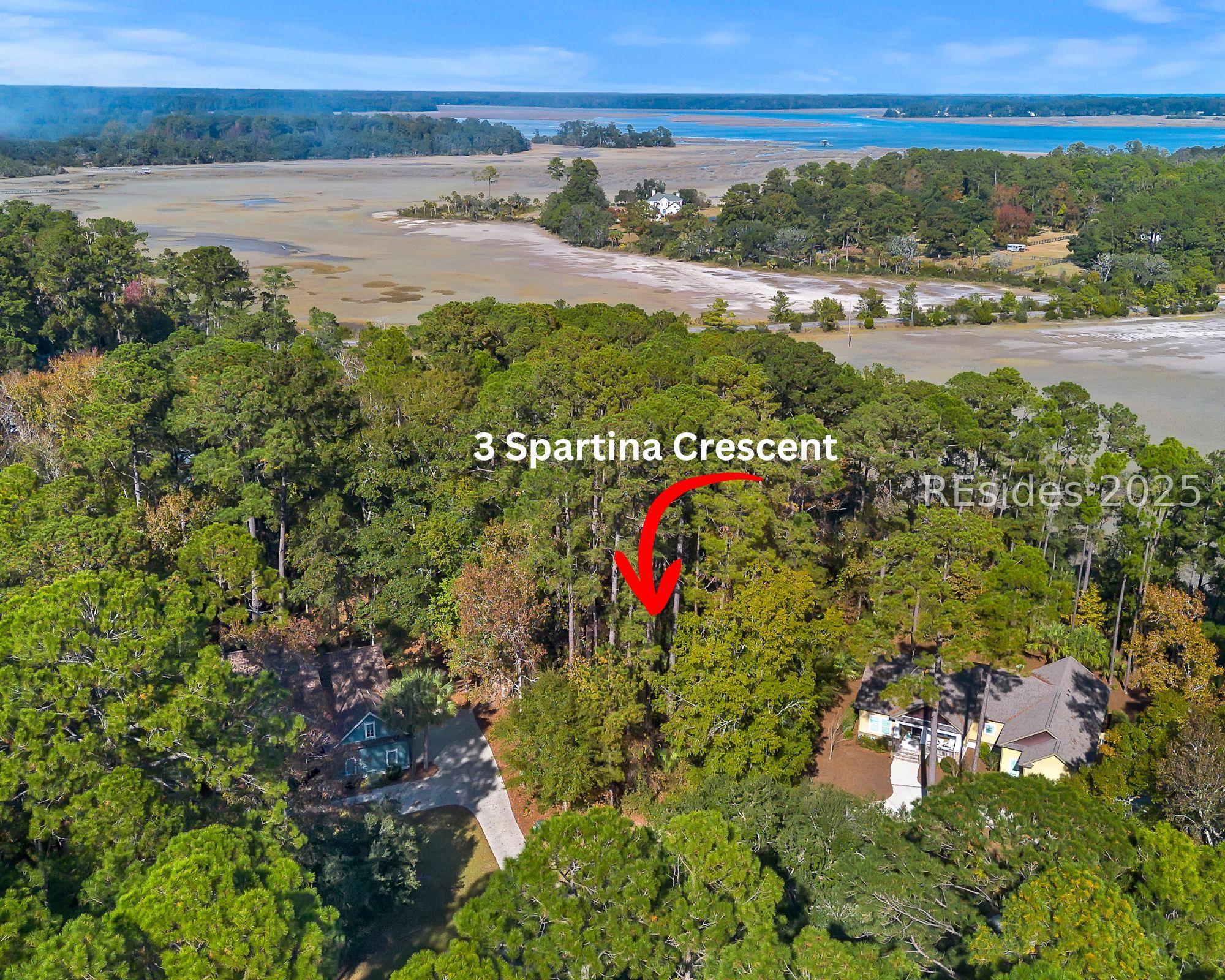 3 Spartina Crest