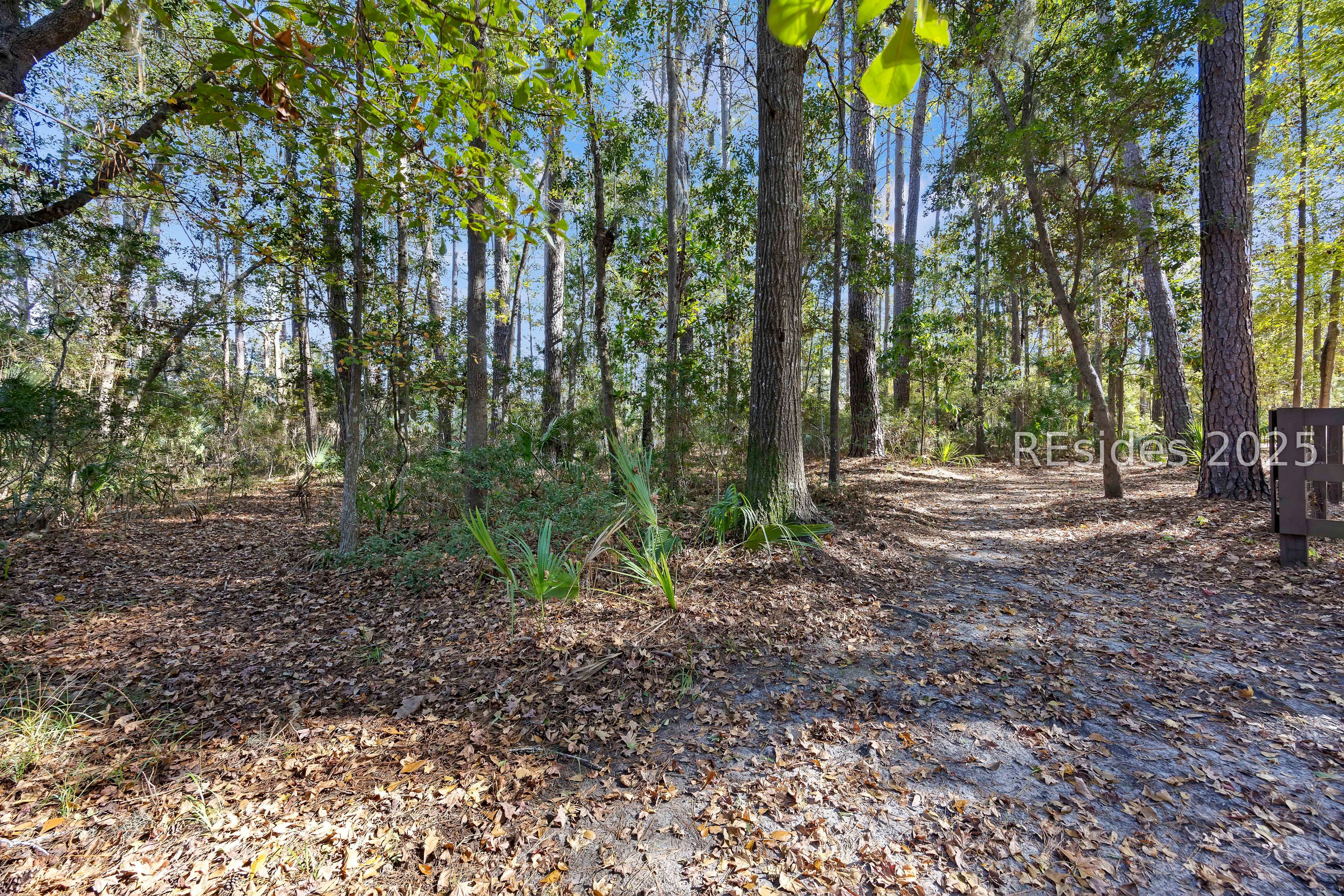 3 Spartina Crest