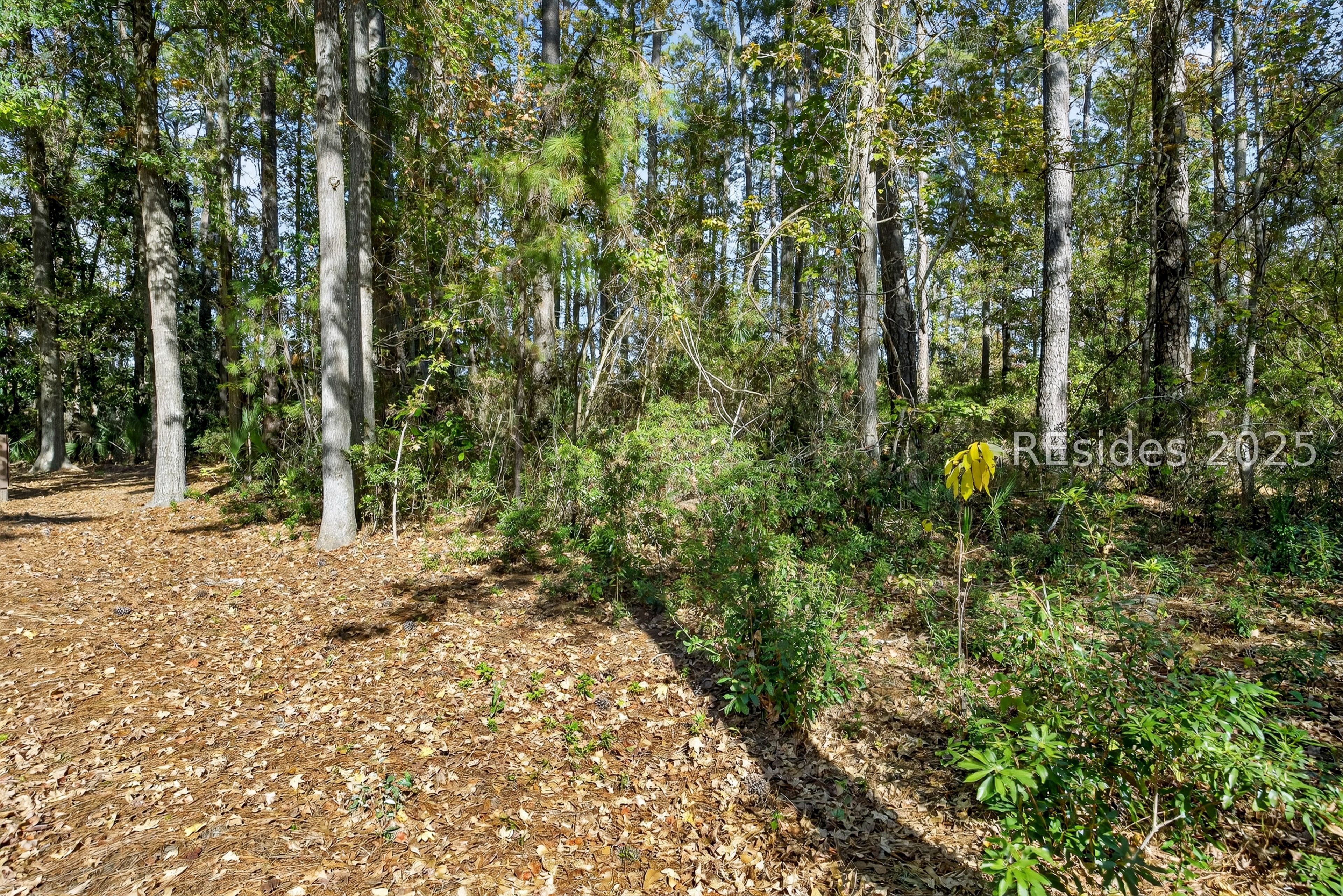 3 Spartina Crest