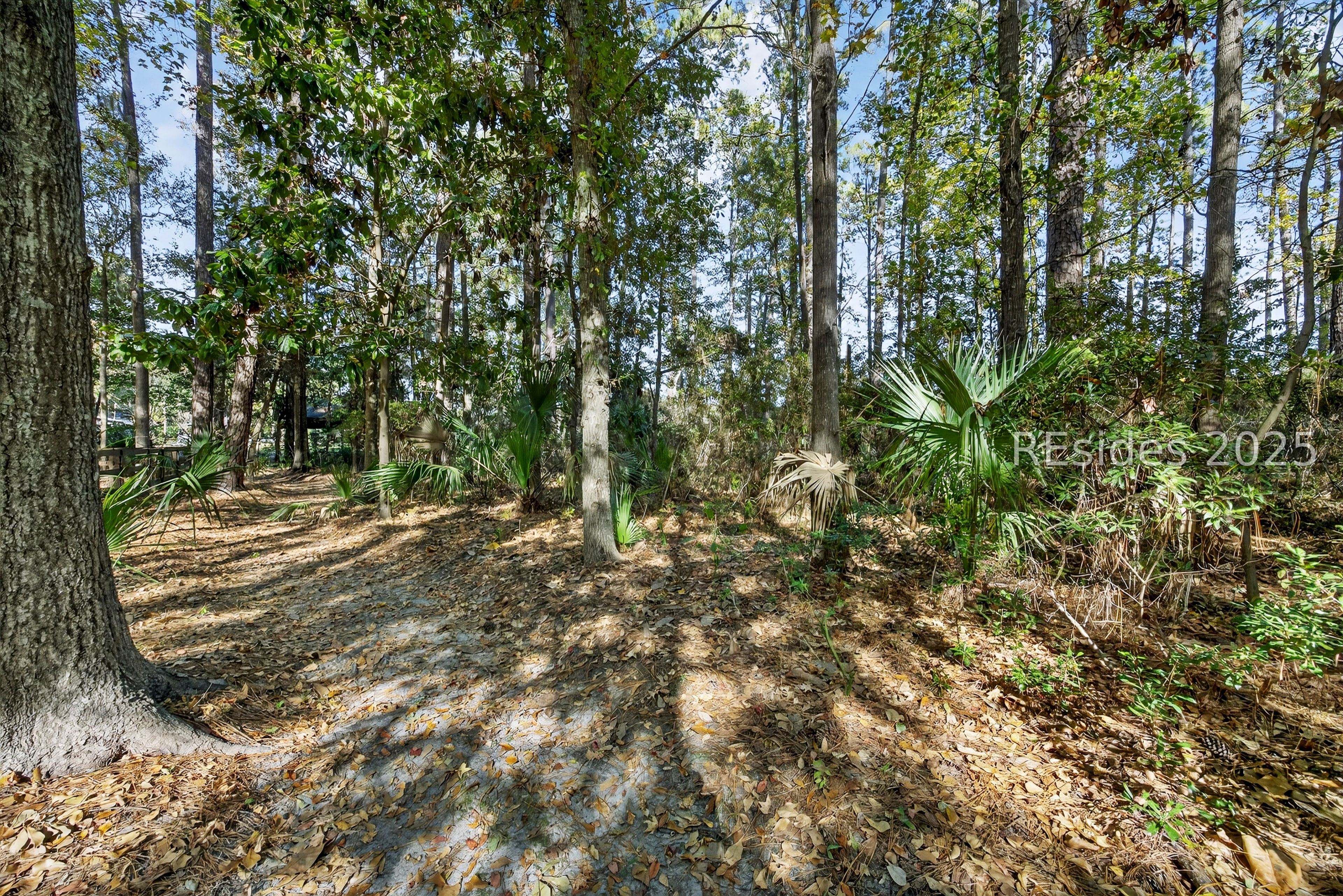 3 Spartina Crest