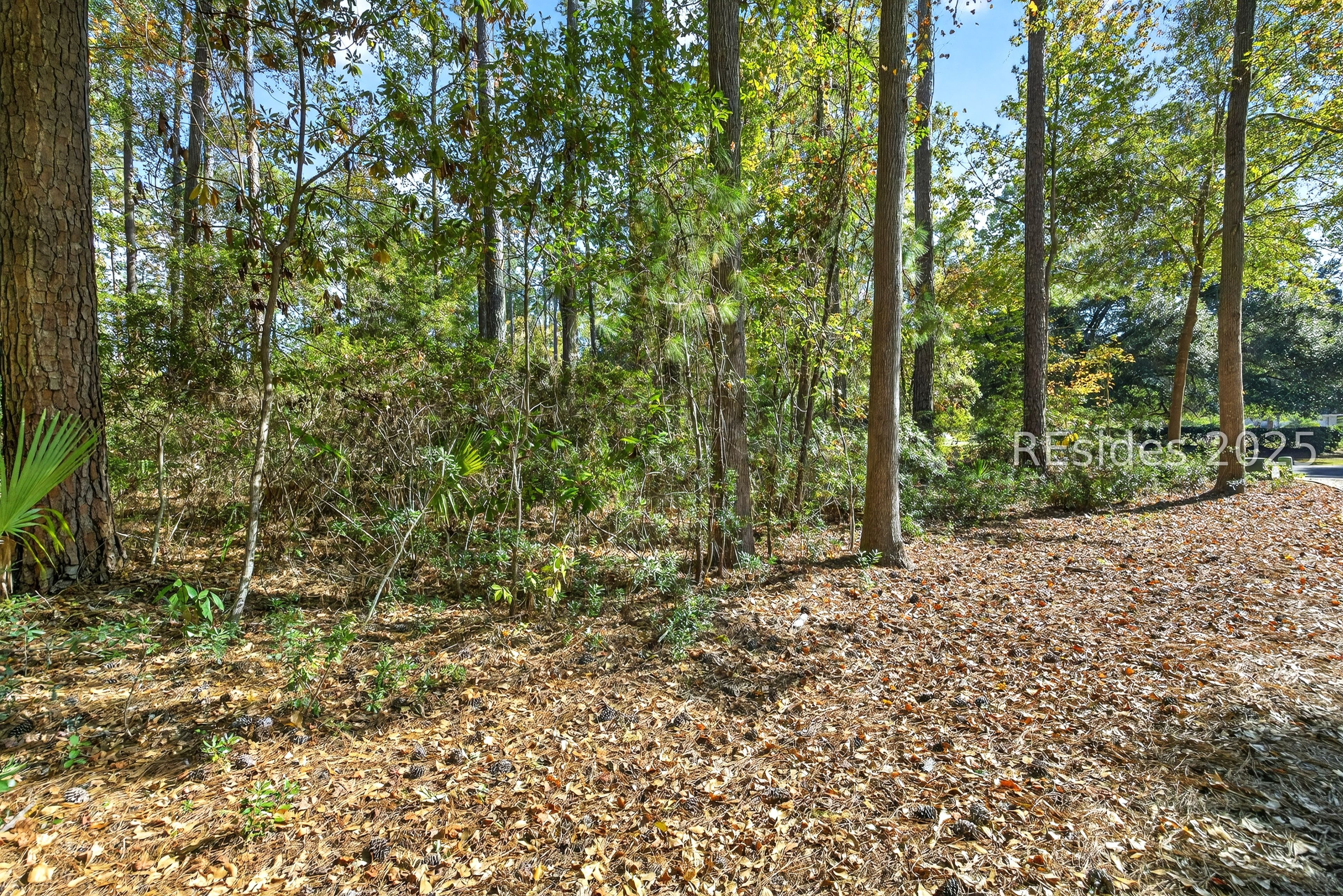 3 Spartina Crest