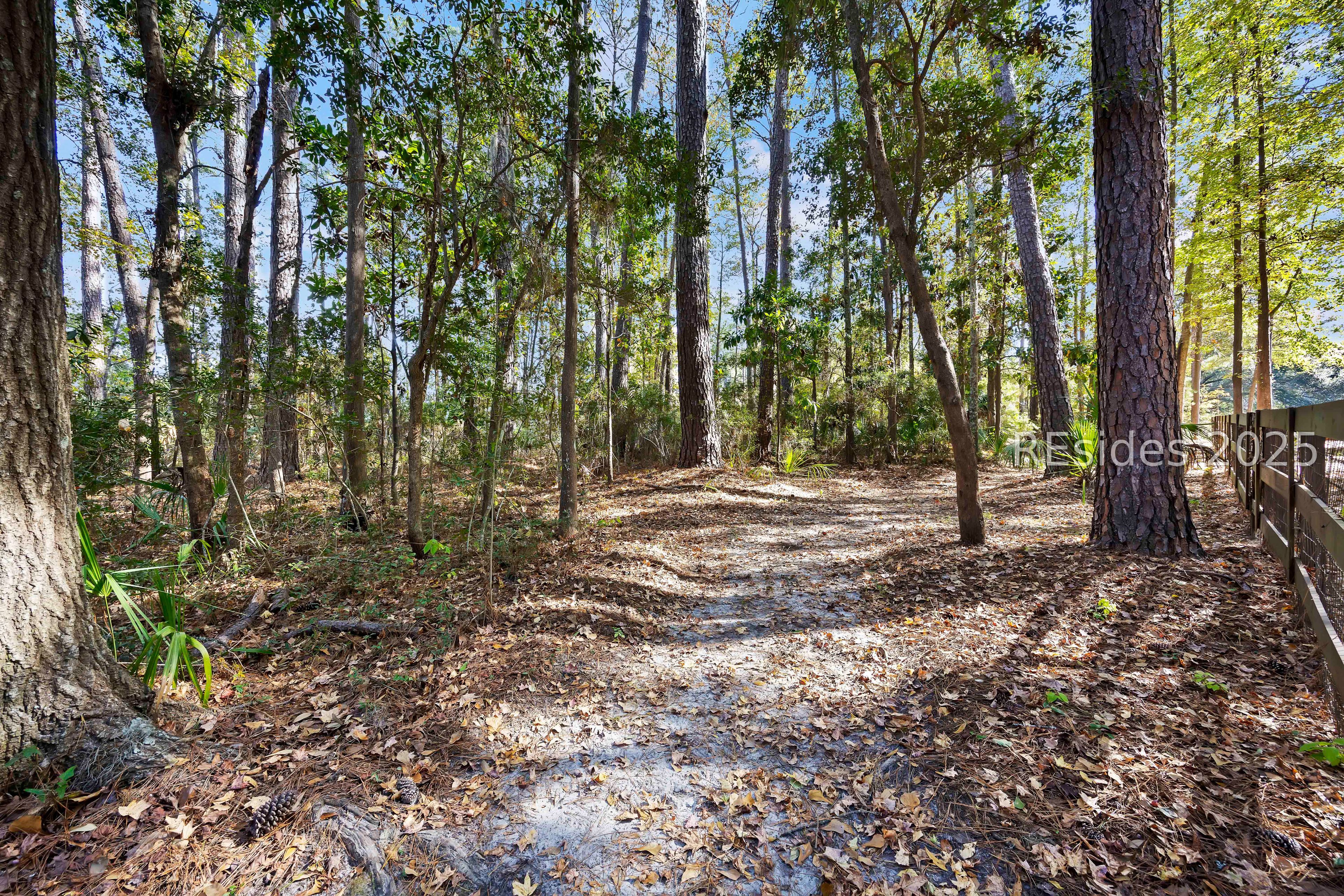 3 Spartina Crest