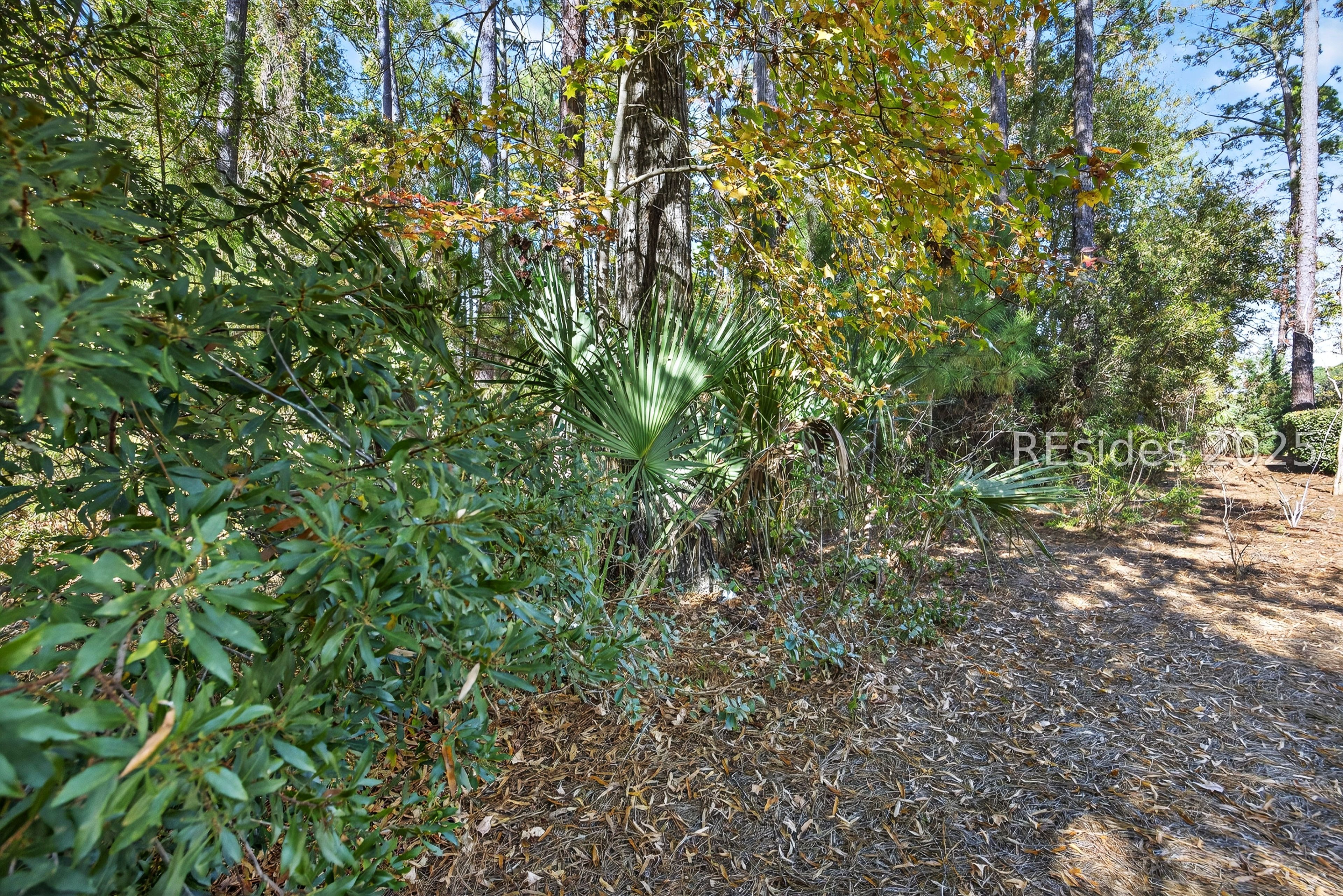 3 Spartina Crest