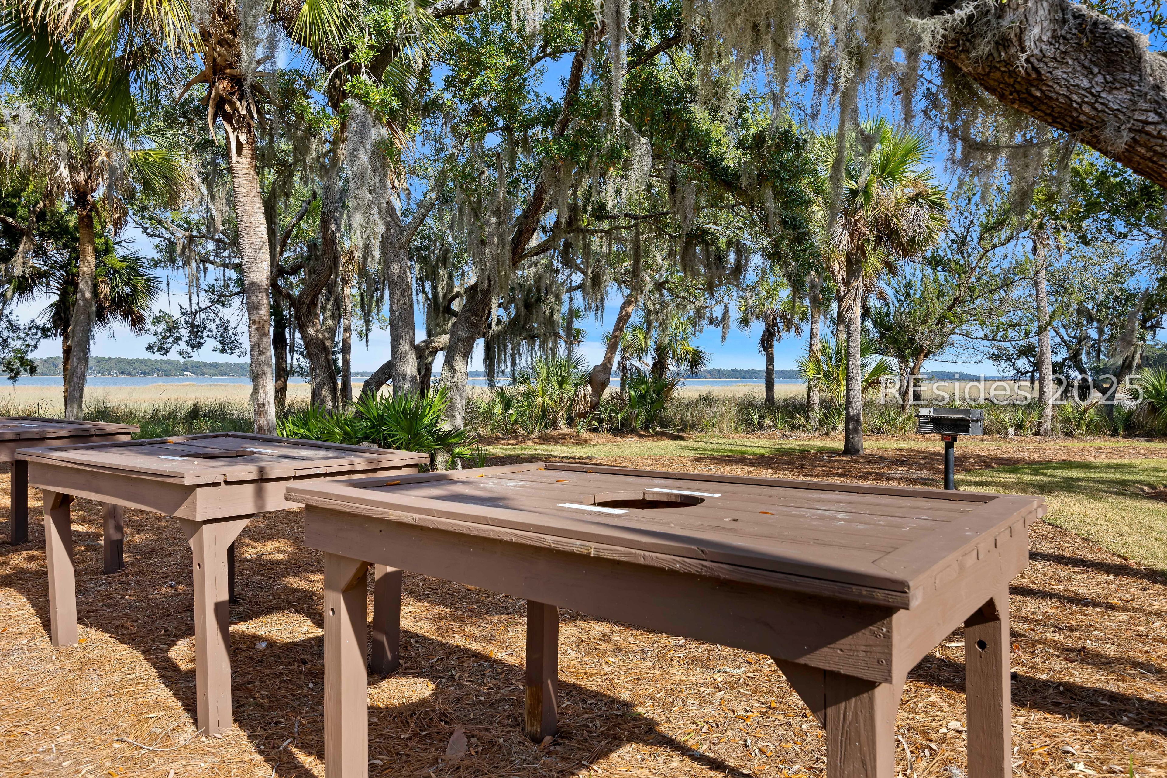3 Spartina Crest