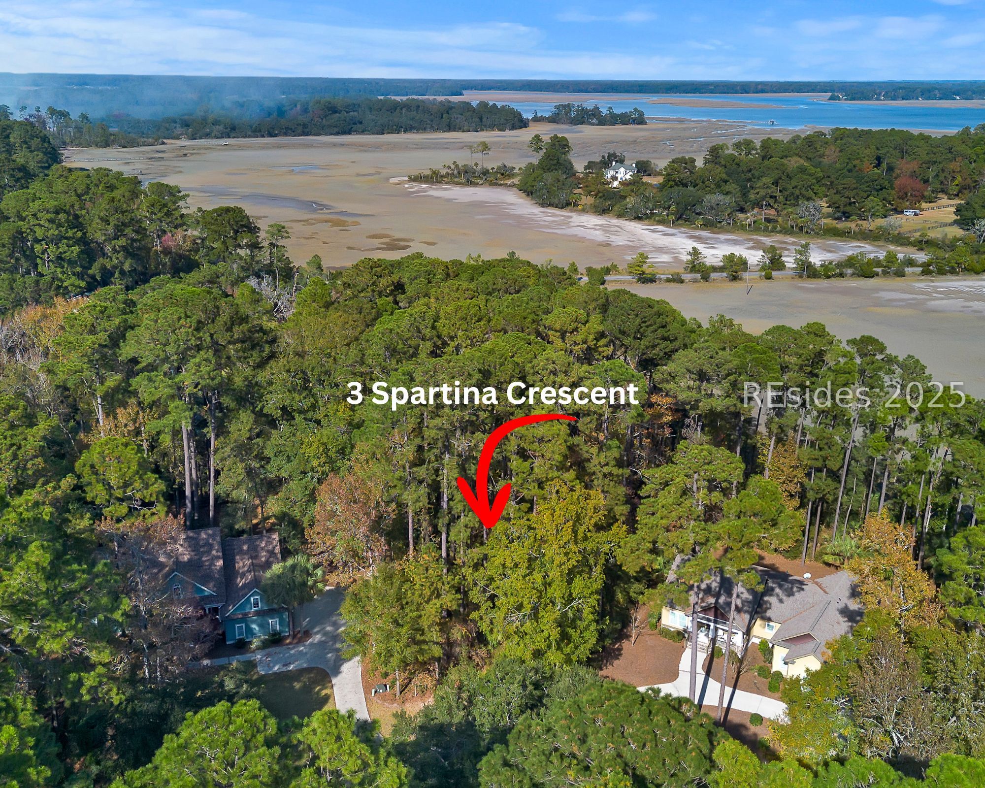 3 Spartina Crest