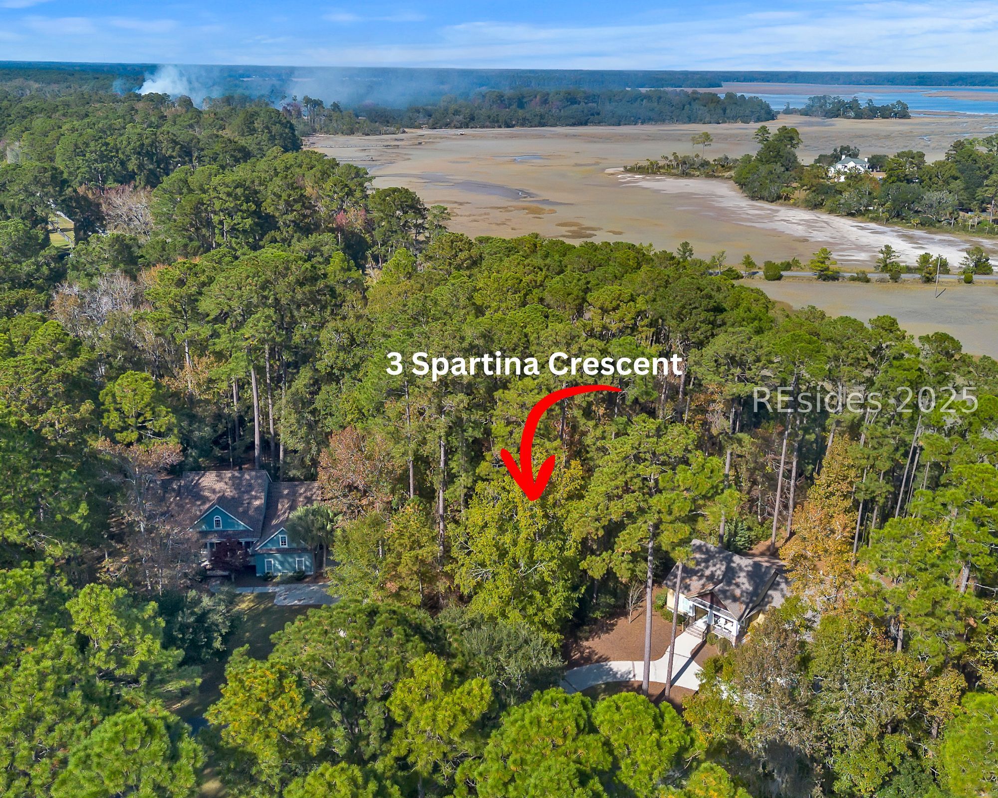 3 Spartina Crest