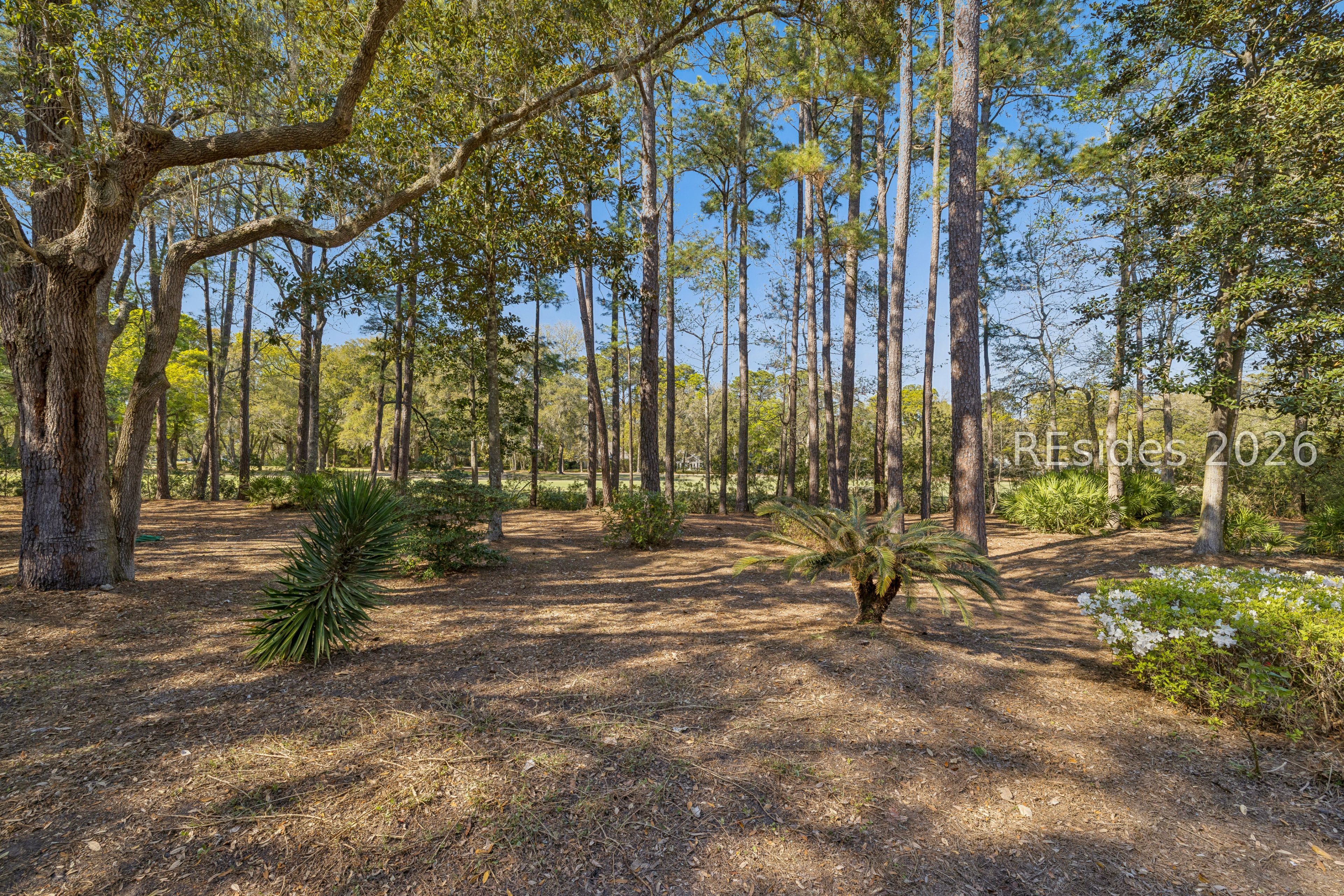 13 McIntosh Road