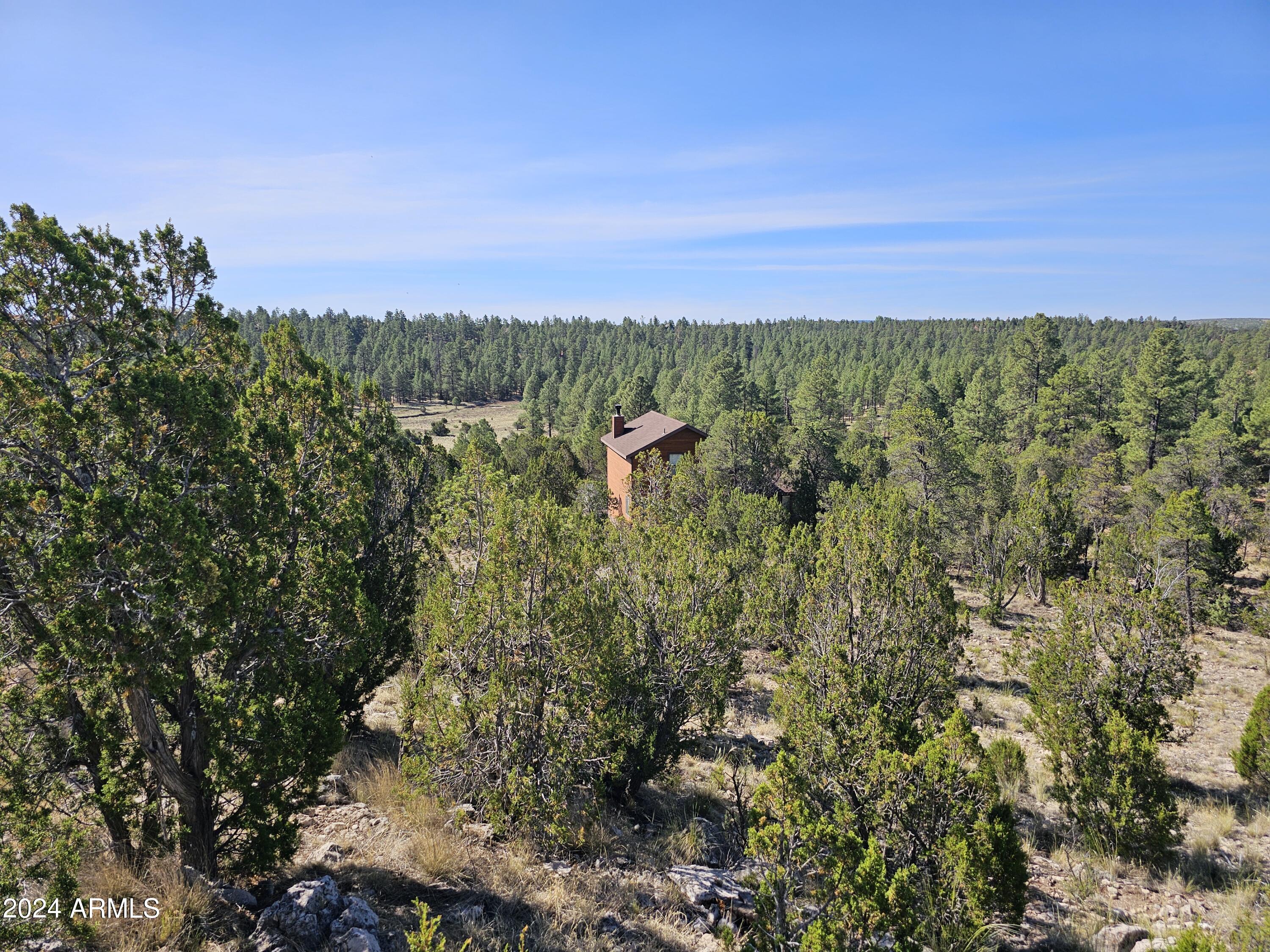 2955 E LOOKOUT Lane, 337