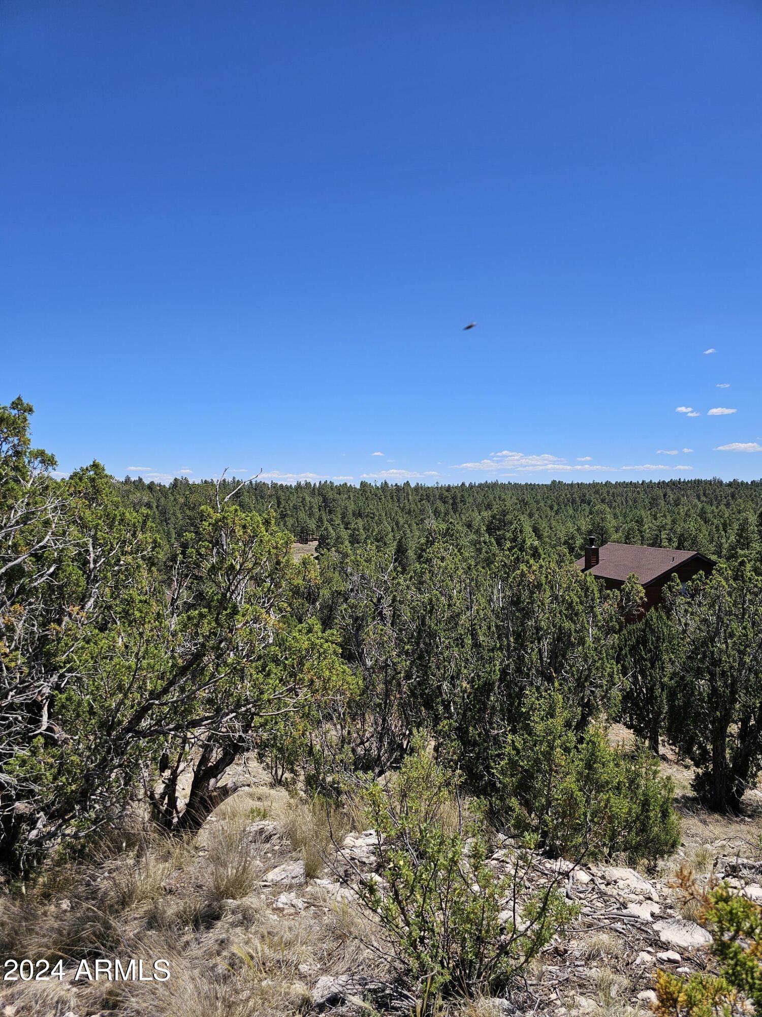 2955 E LOOKOUT Lane, 337
