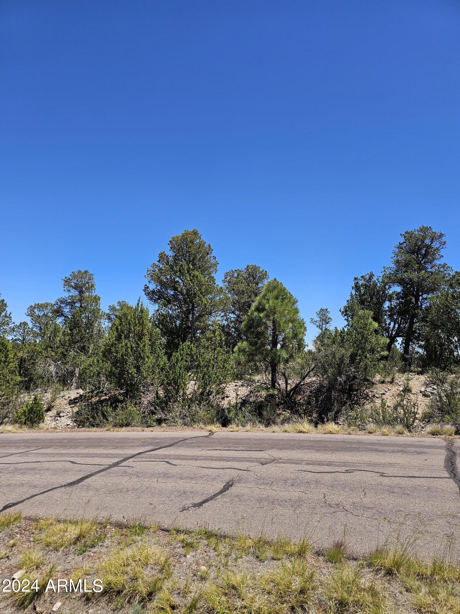 2955 E LOOKOUT Lane, 337