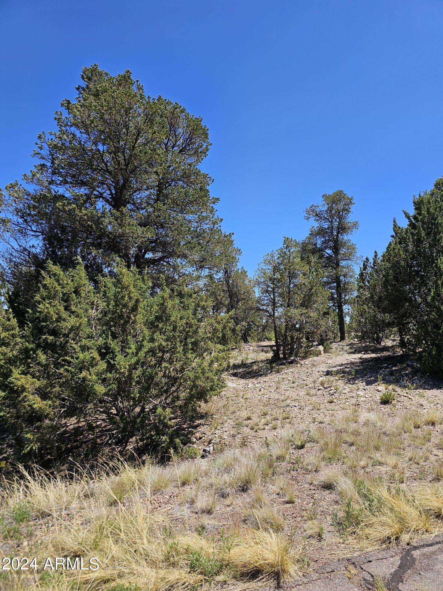 2955 E LOOKOUT Lane, 337