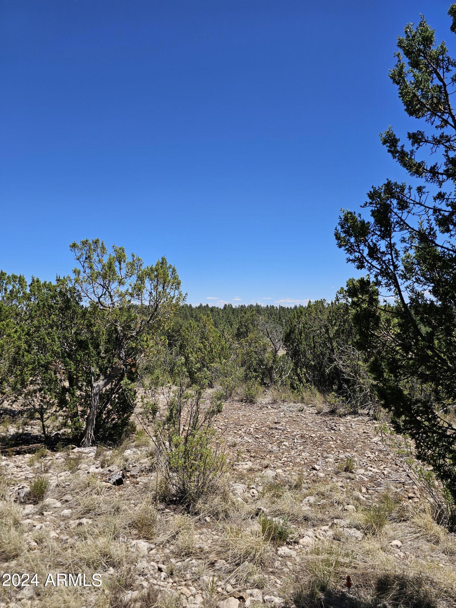 2955 E LOOKOUT Lane, 337
