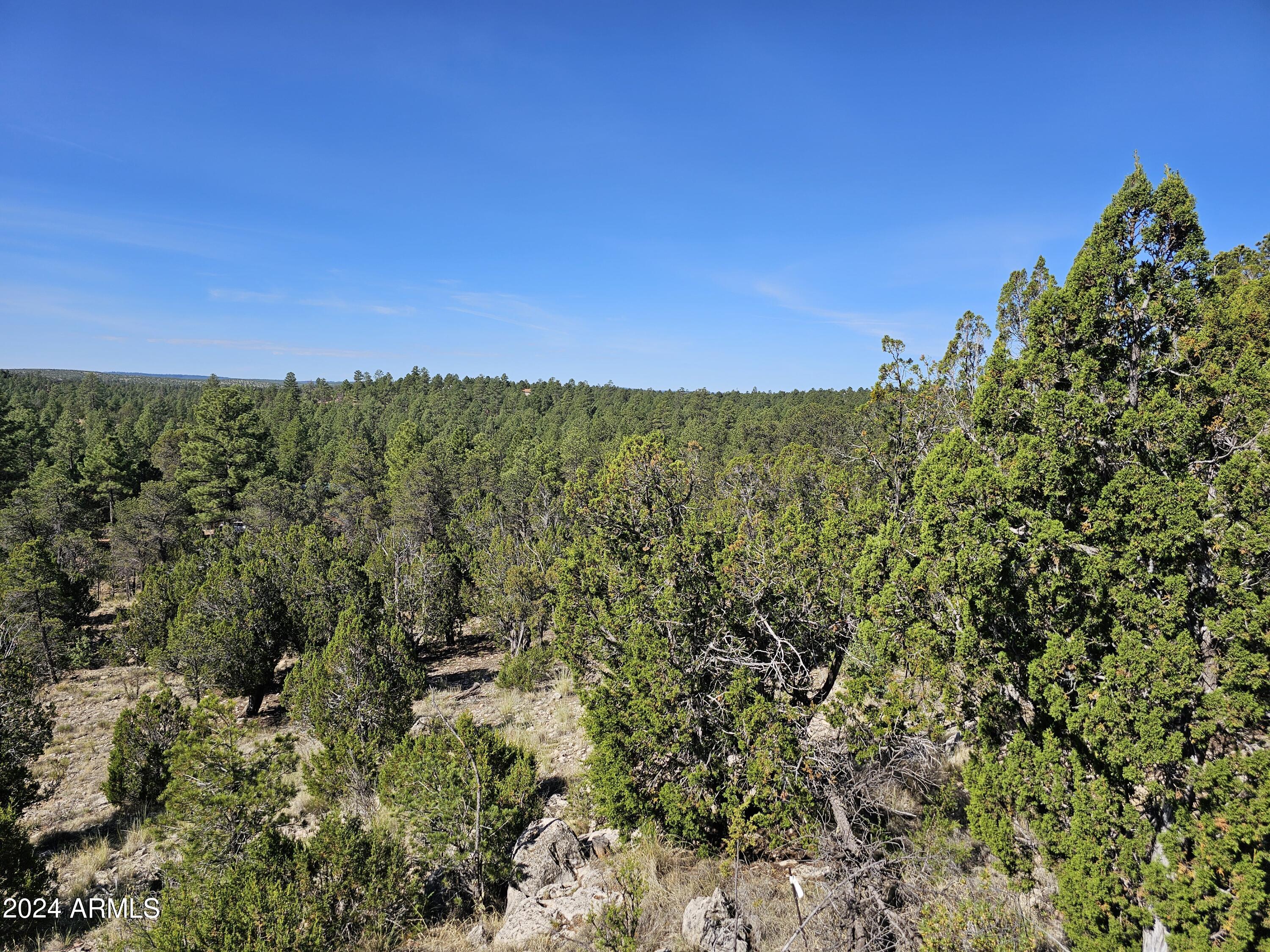 2955 E LOOKOUT Lane, 337