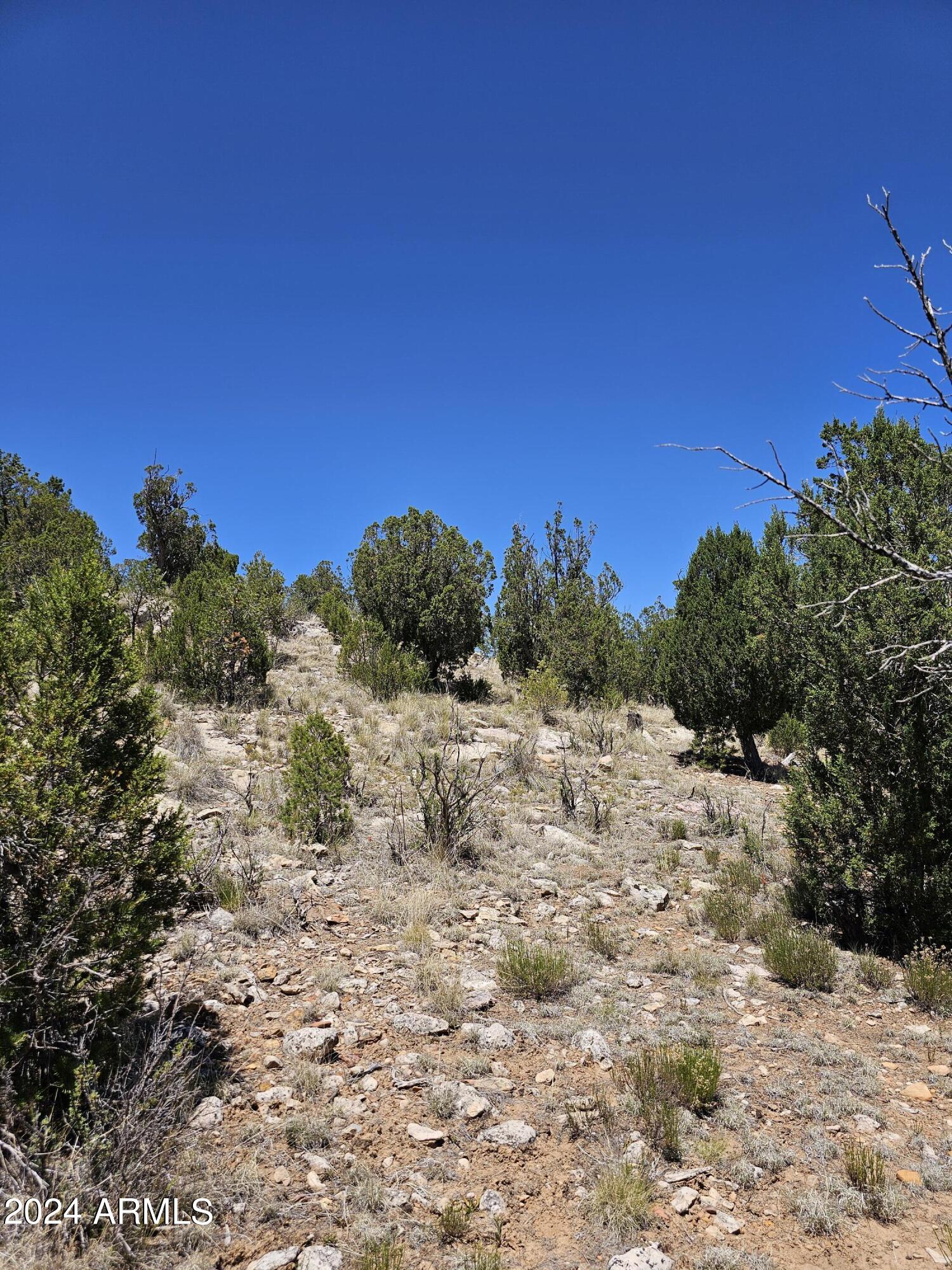 2955 E LOOKOUT Lane, 337