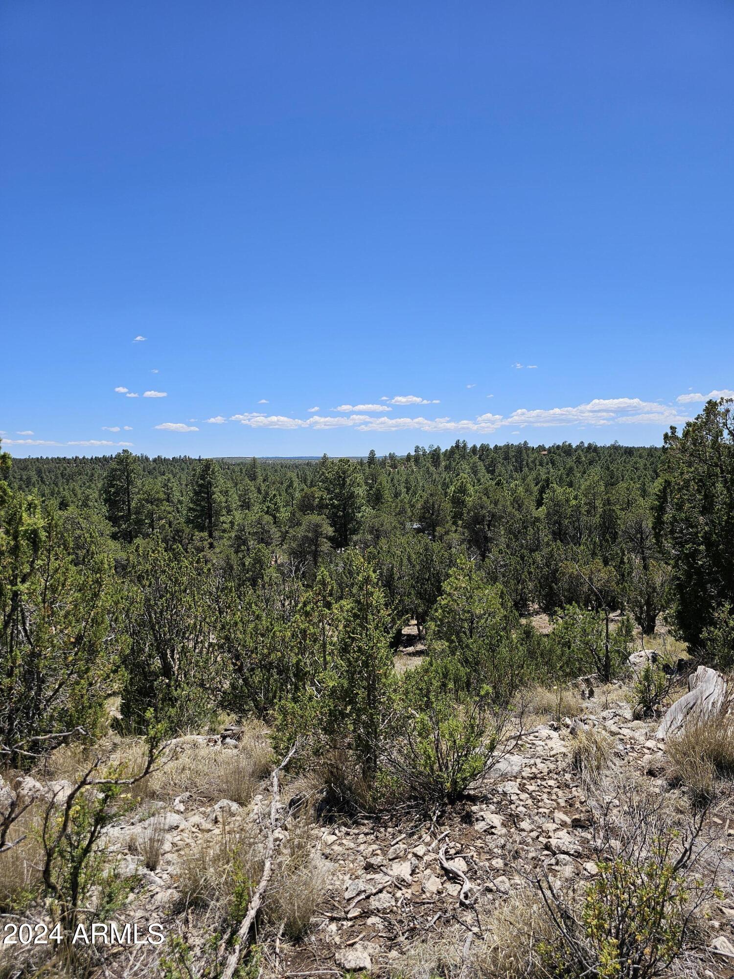 2955 E LOOKOUT Lane, 337
