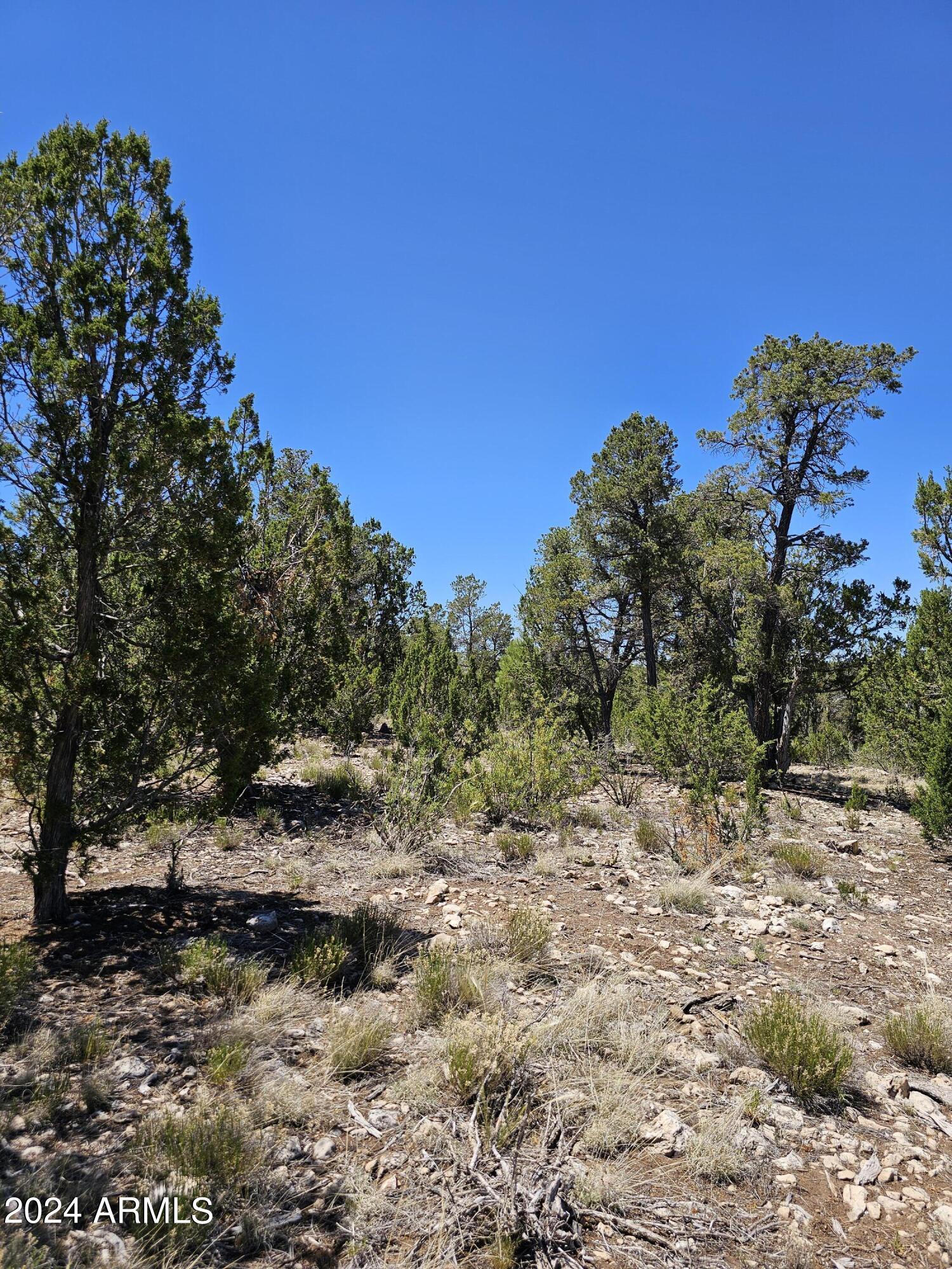 2955 E LOOKOUT Lane, 337
