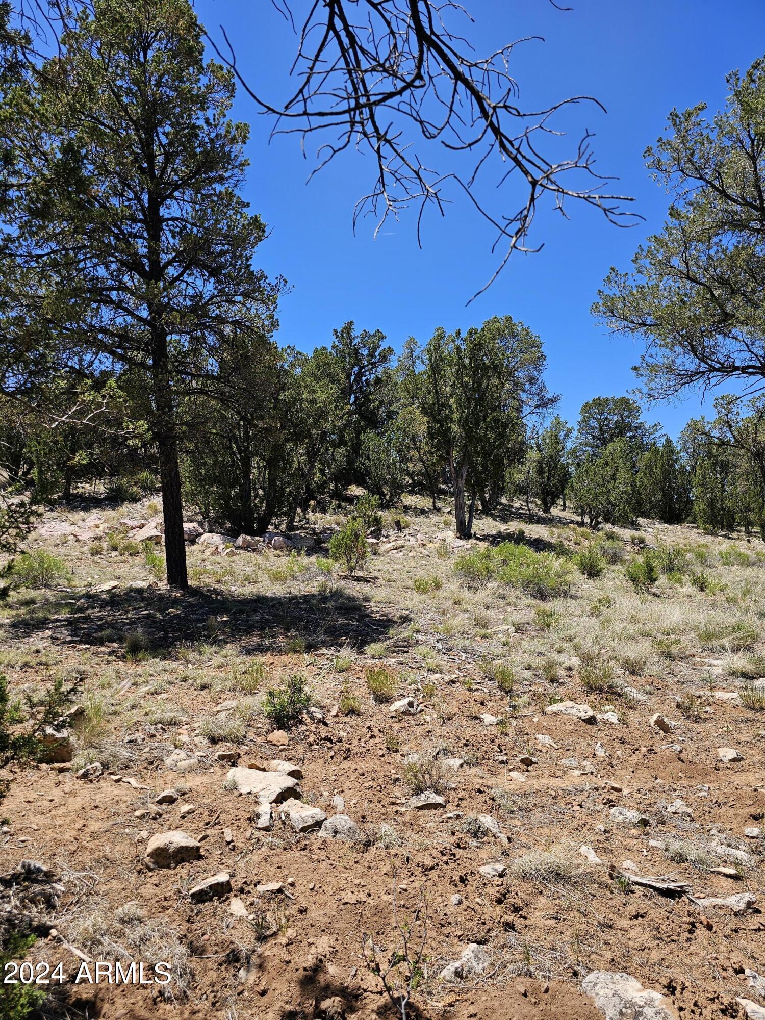 2955 E LOOKOUT Lane, 337