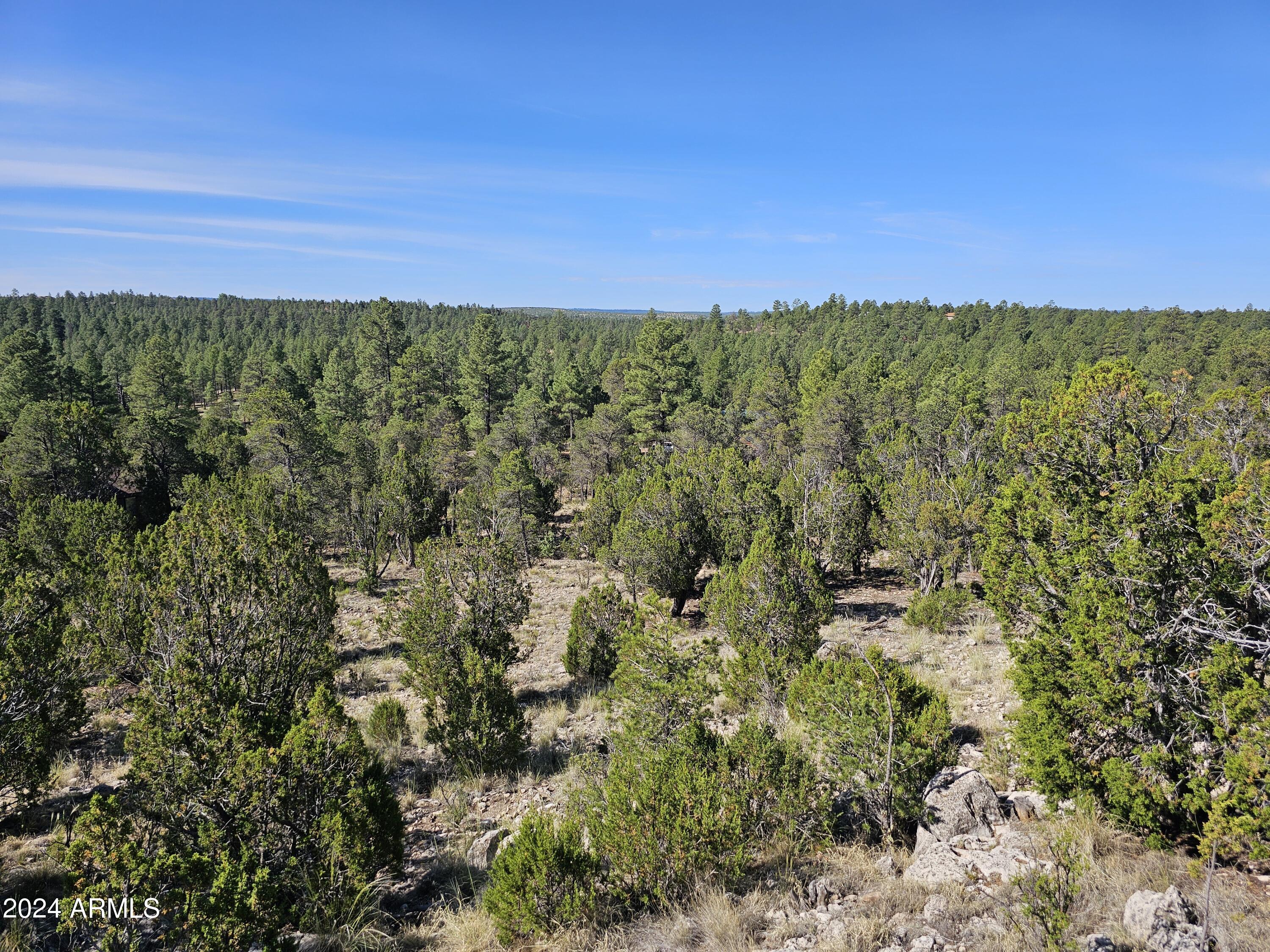 2955 E LOOKOUT Lane, 337