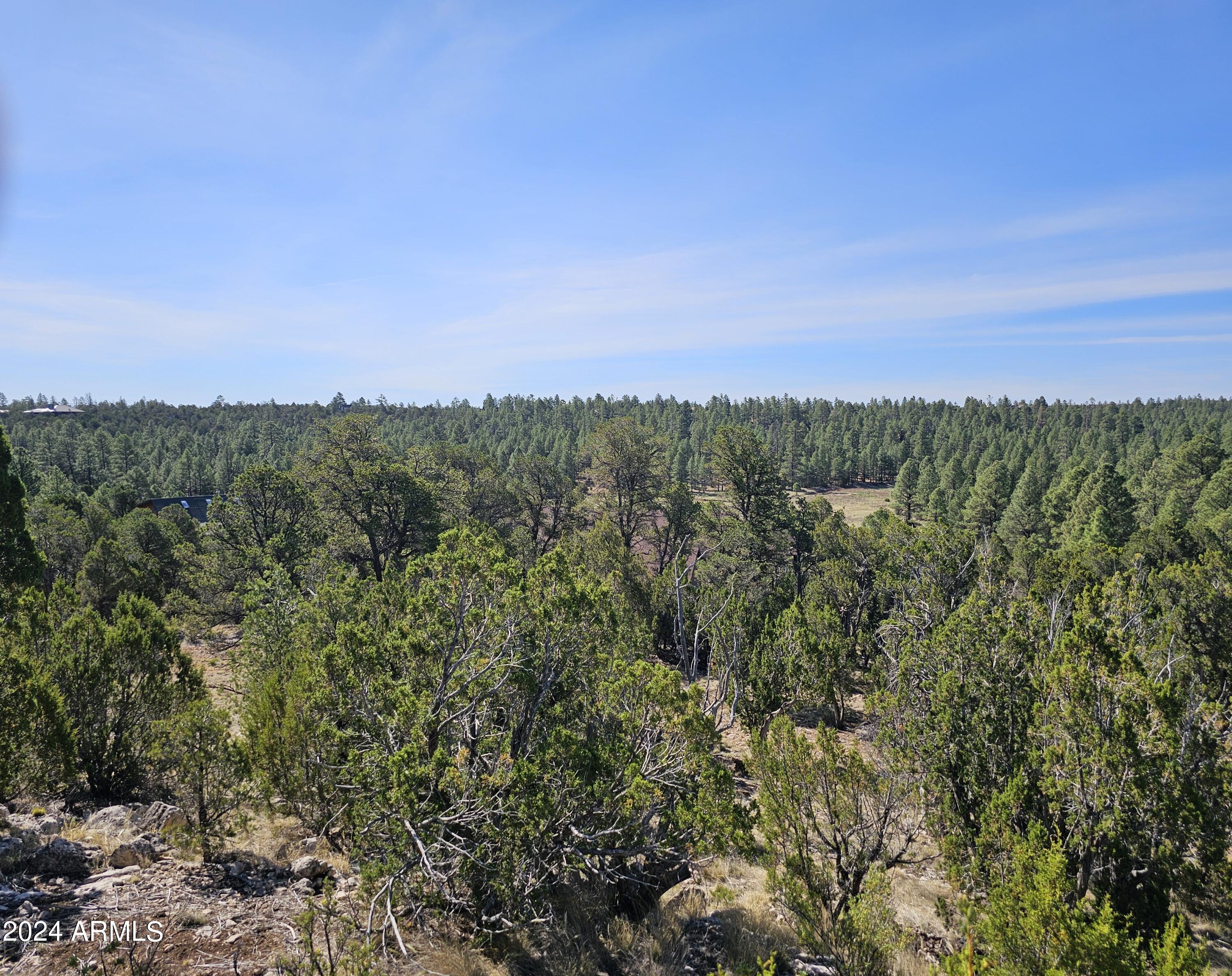 2955 E LOOKOUT Lane, 337