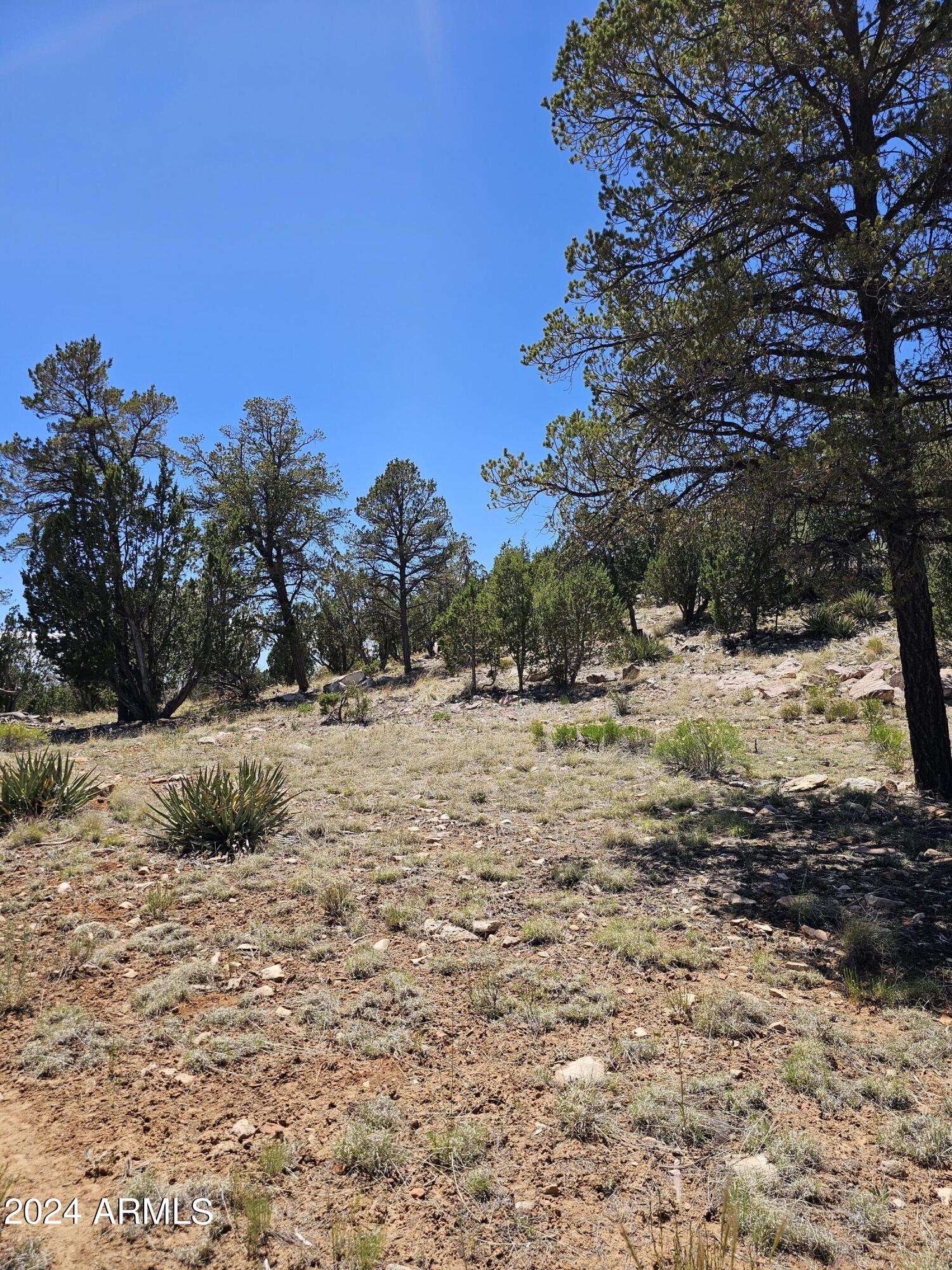2955 E LOOKOUT Lane, 337