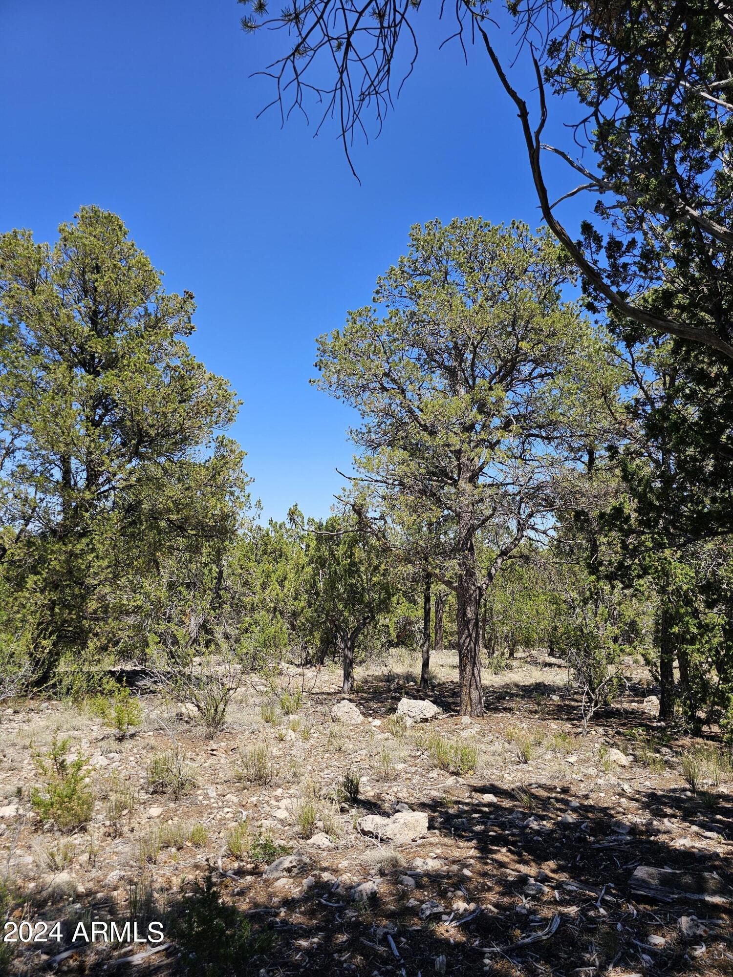 2955 E LOOKOUT Lane, 337