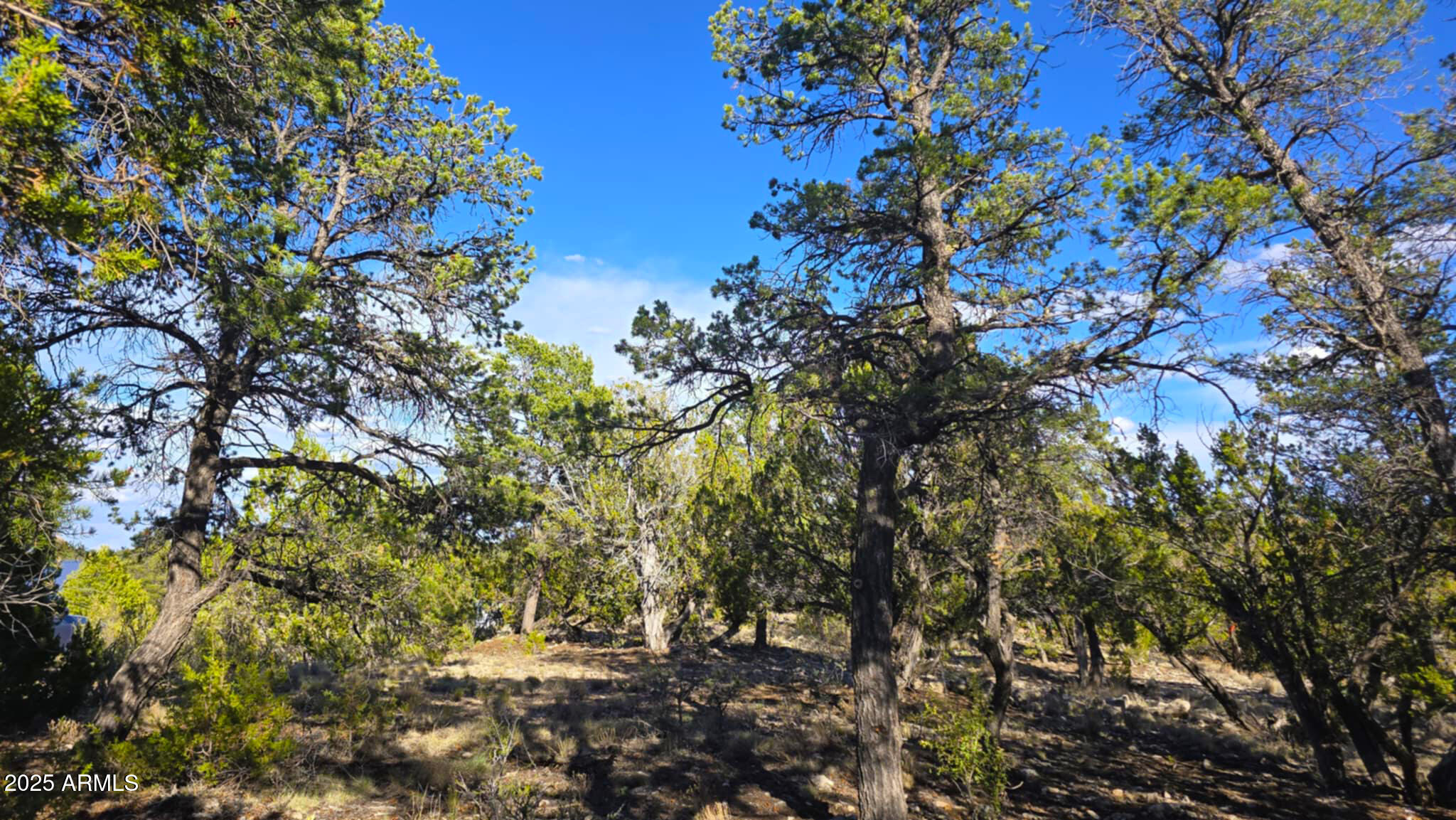 2947 E LOOKOUT Lane, 339