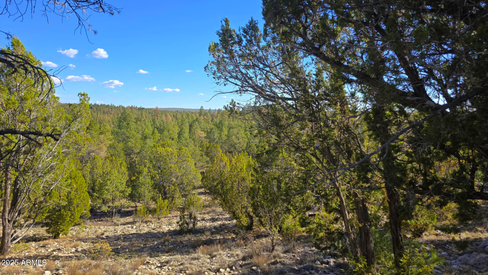 2947 E LOOKOUT Lane, 339