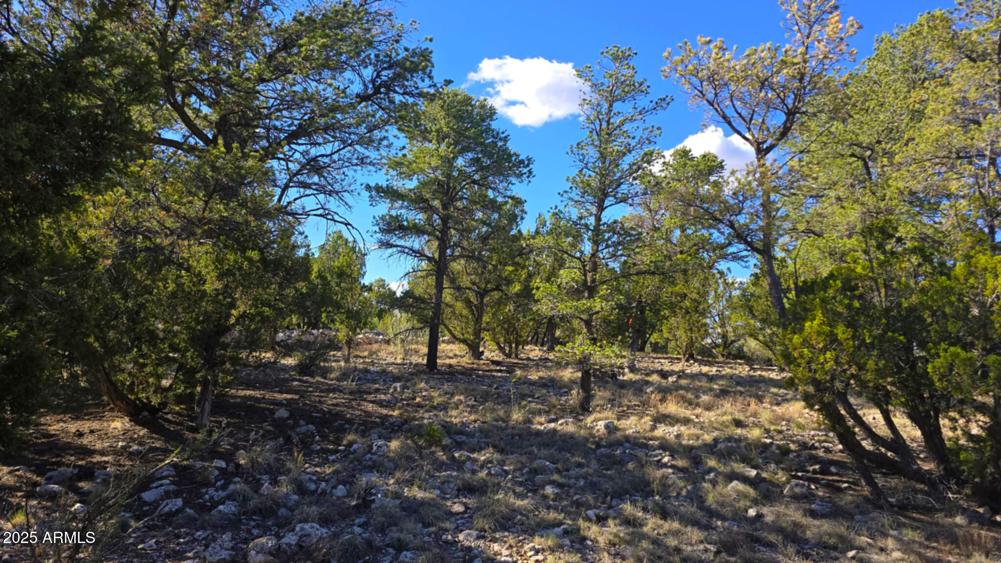 2947 E LOOKOUT Lane, 339
