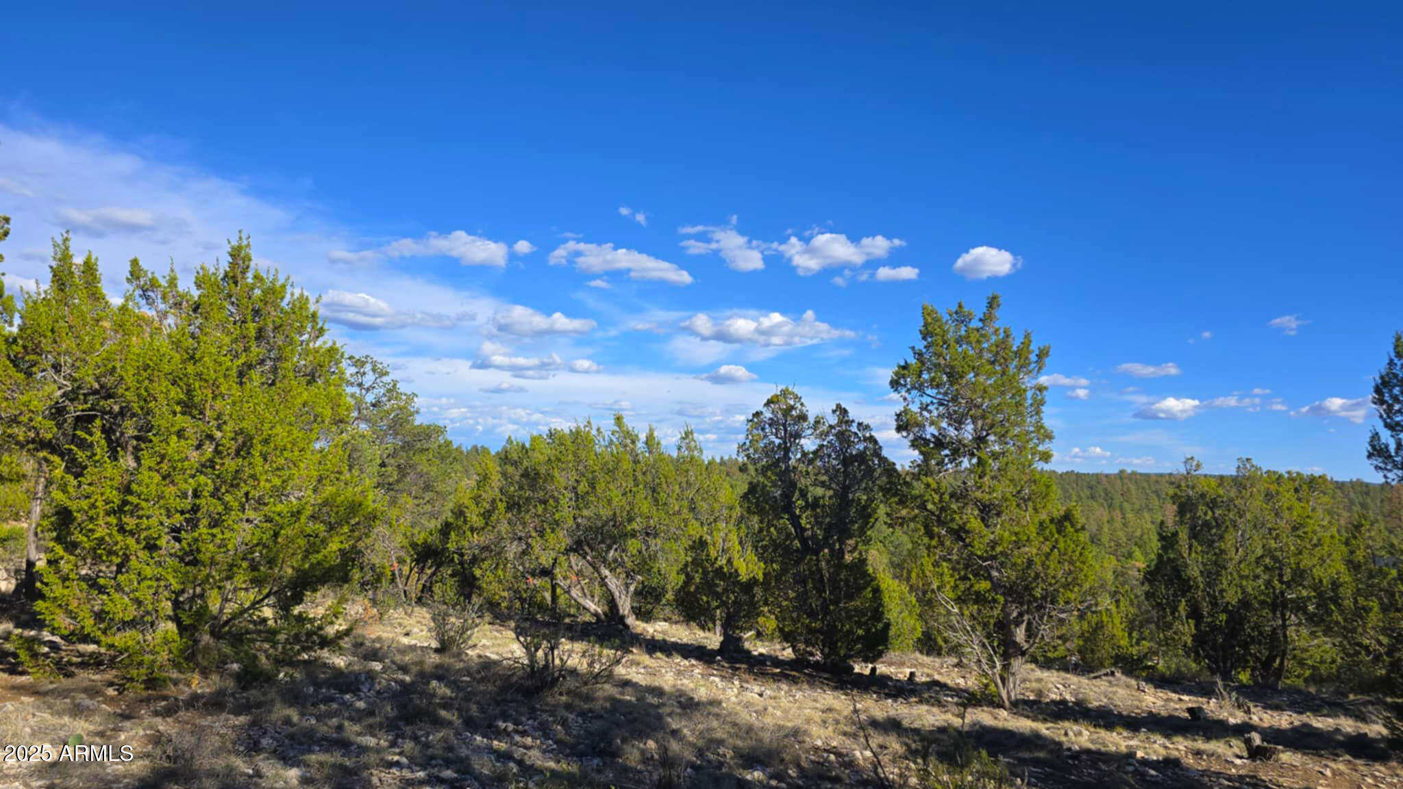 2947 E LOOKOUT Lane, 339