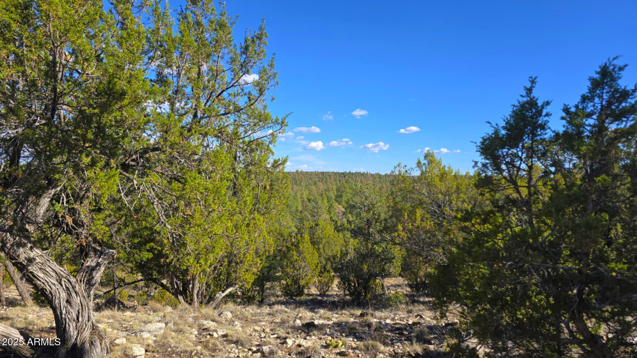2947 E LOOKOUT Lane, 339