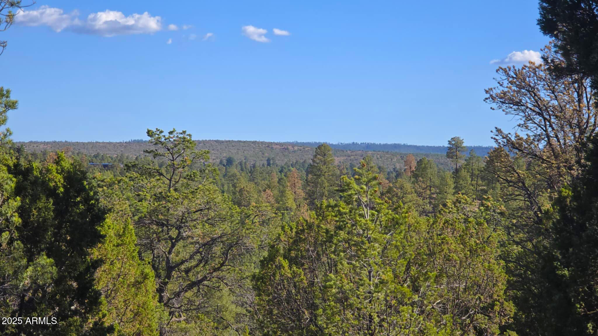 2947 E LOOKOUT Lane, 339