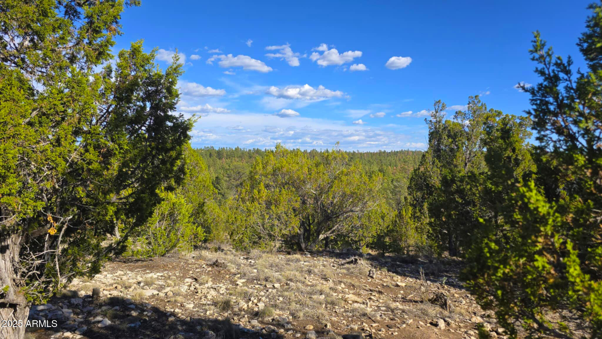 2947 E LOOKOUT Lane, 339