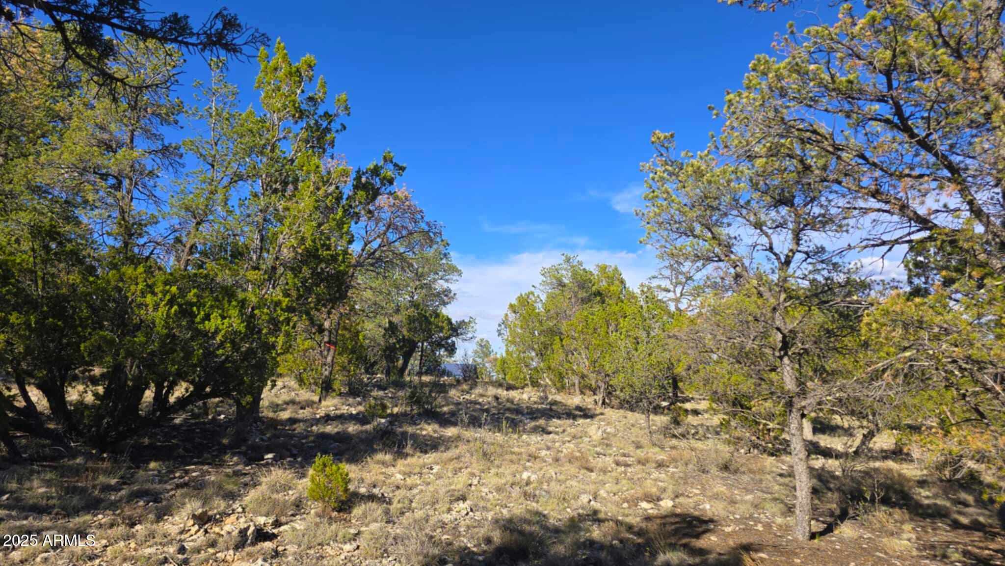 2947 E LOOKOUT Lane, 339