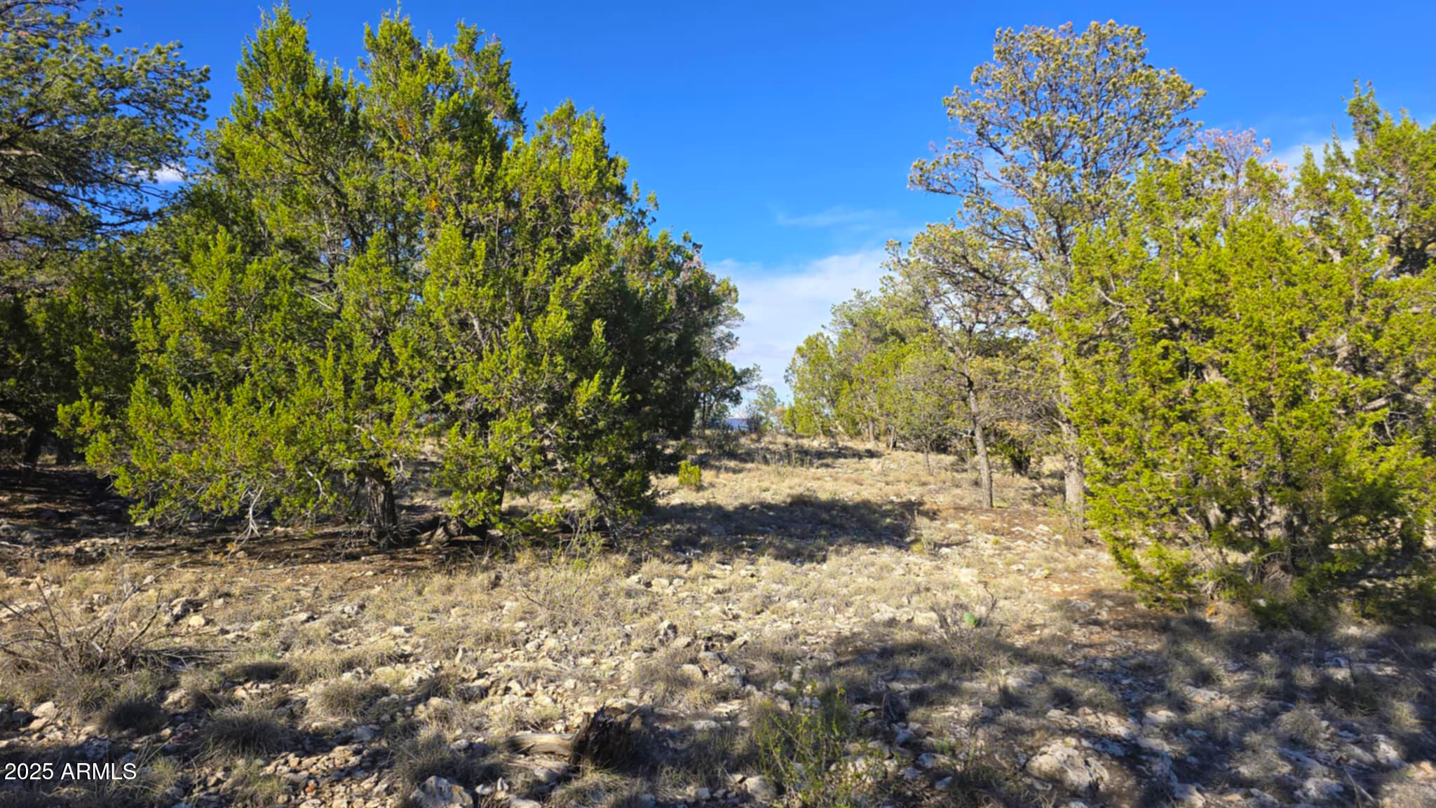2947 E LOOKOUT Lane, 339