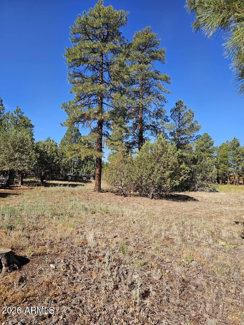 2236 MOCCASIN Drive 208