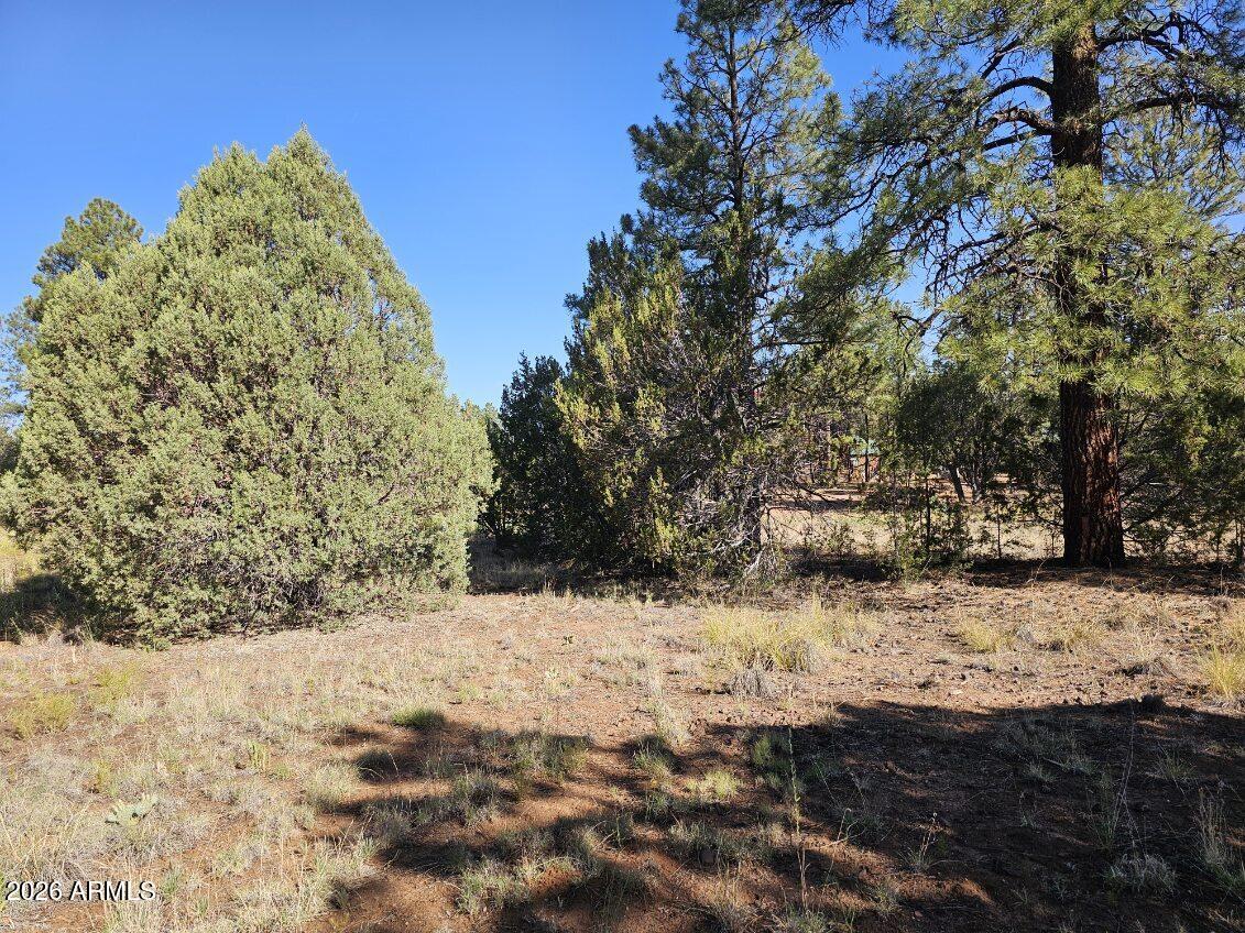 2236 MOCCASIN Drive 208