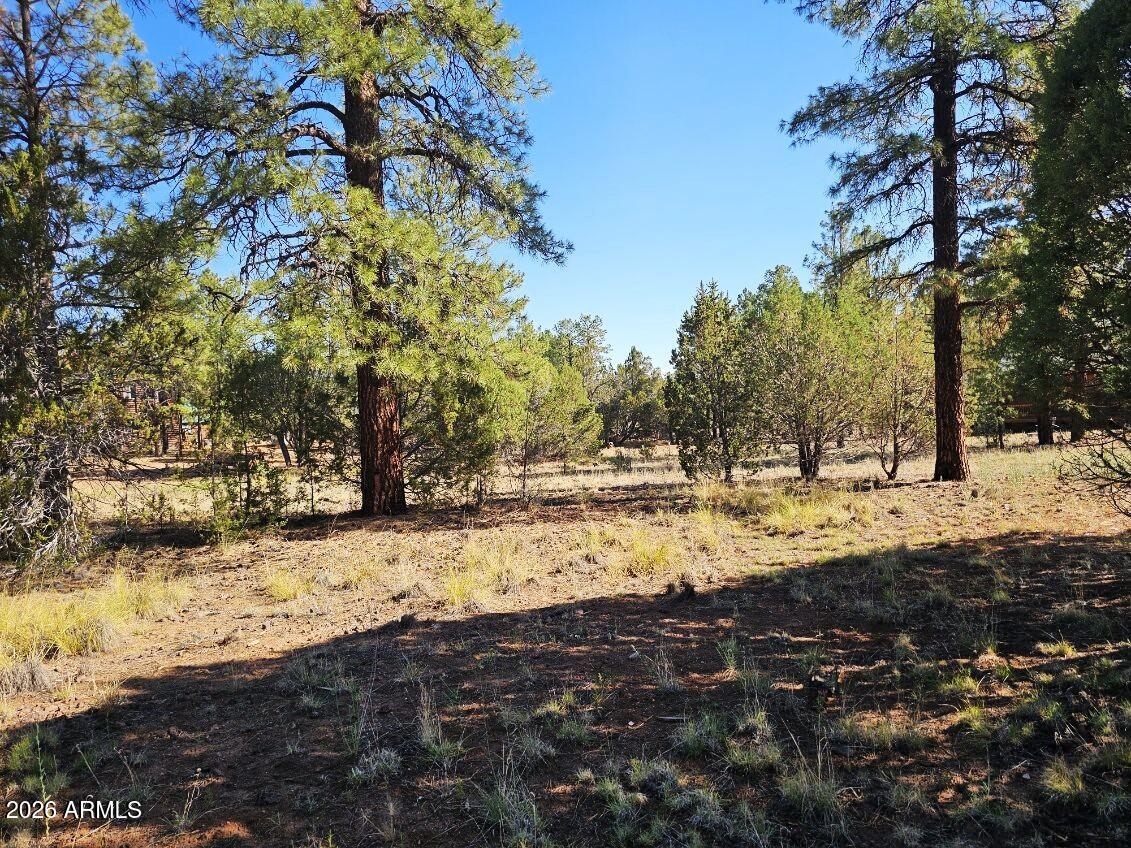 2236 MOCCASIN Drive 208