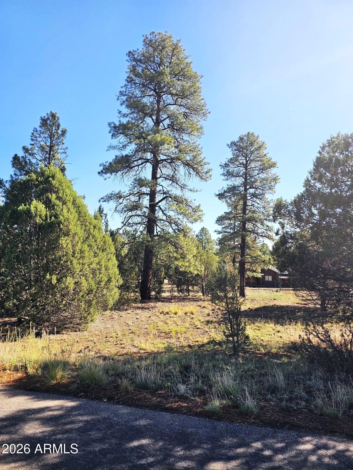 2236 MOCCASIN Drive 208