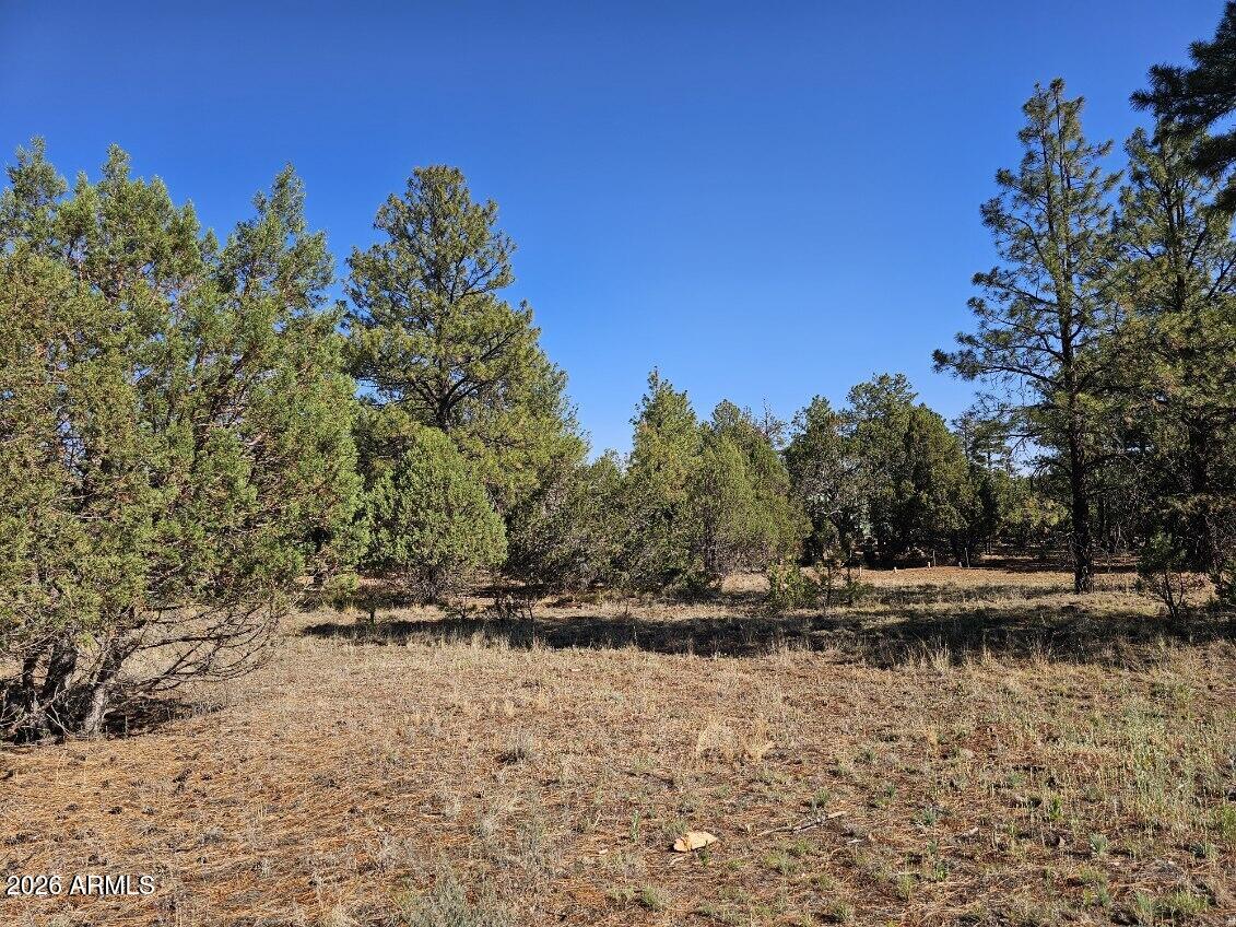 2236 MOCCASIN Drive 208