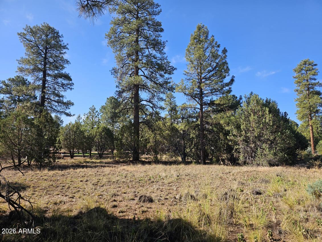 2236 MOCCASIN Drive 208