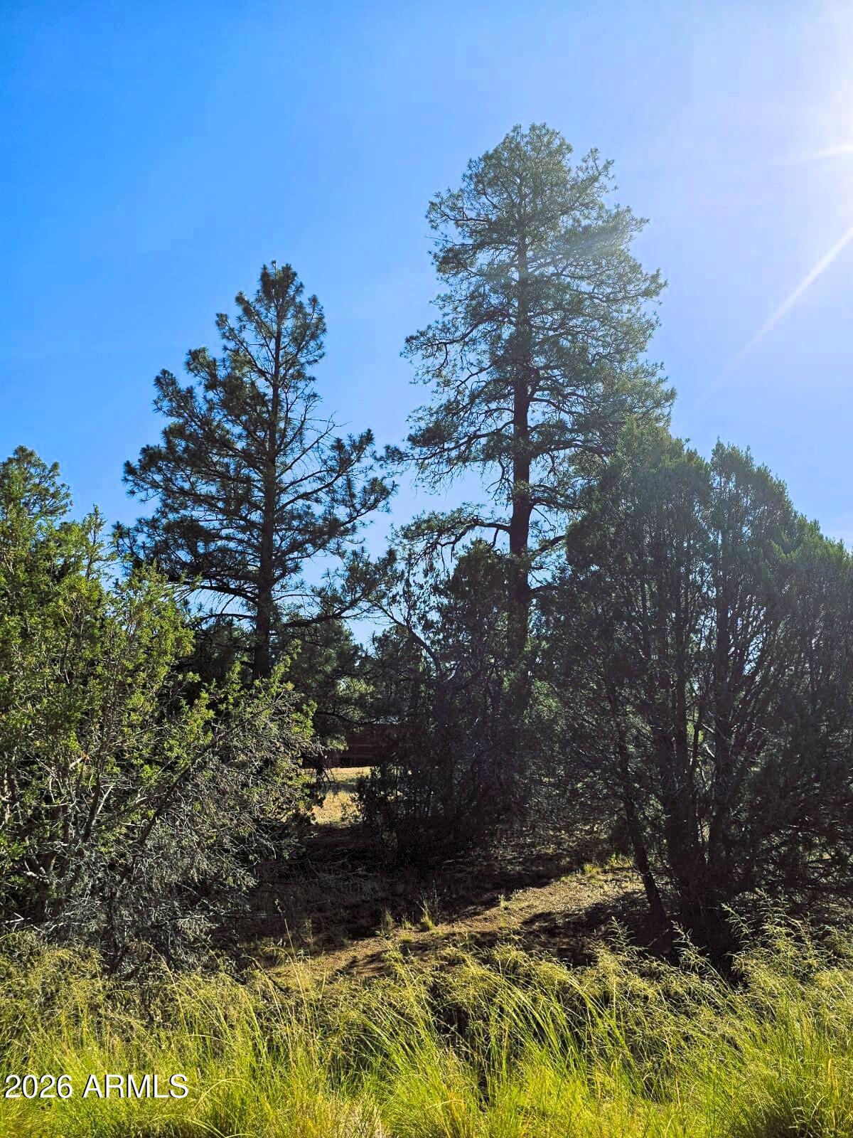 2236 MOCCASIN Drive 208